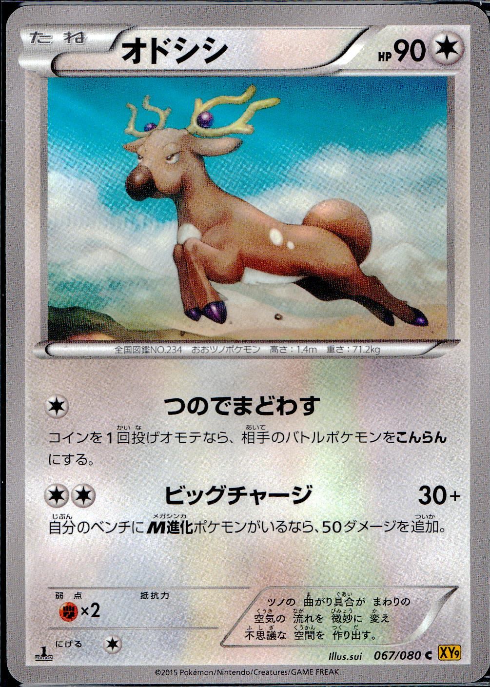 067/080/C/XY9/B オドシシ