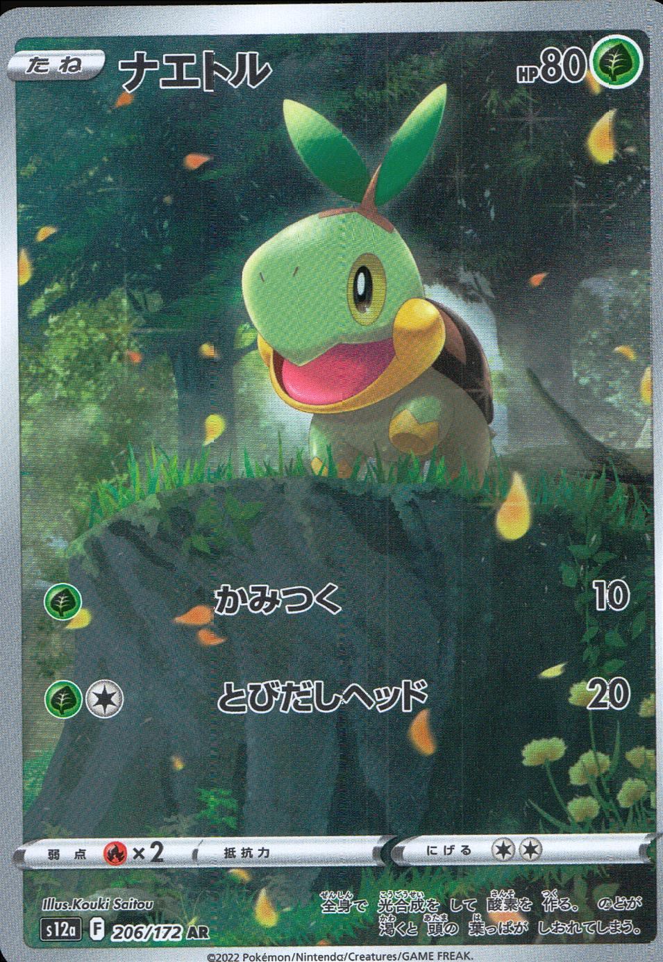 206/172/S12A/B/AR Turtwig