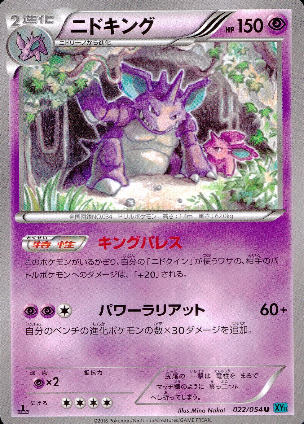 022/054/XY11/1ED ニドキング