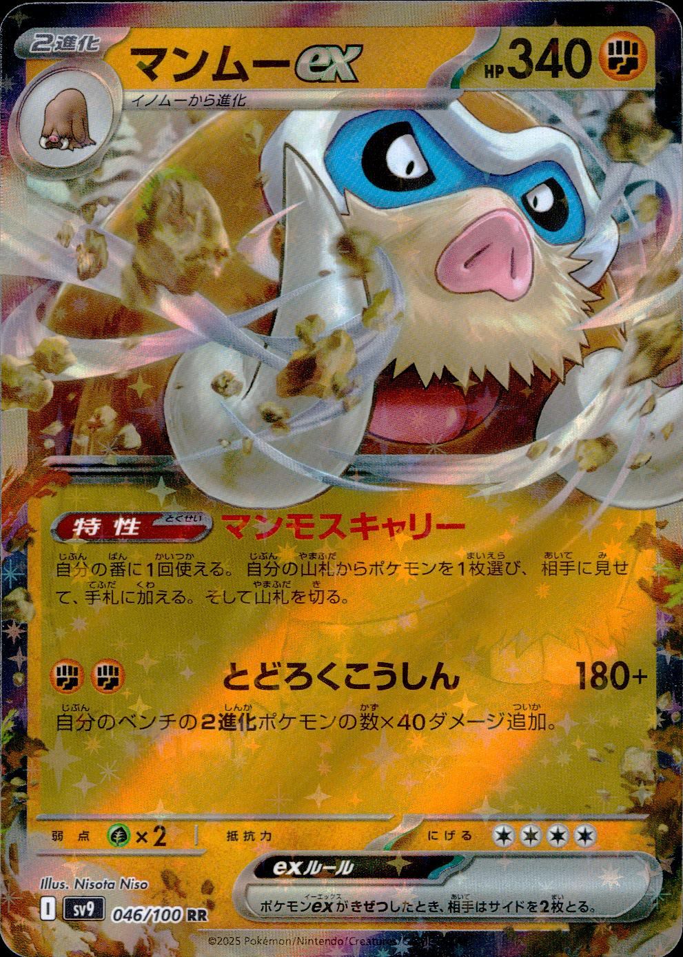 046/100/SV9/B/RR Mamo ex