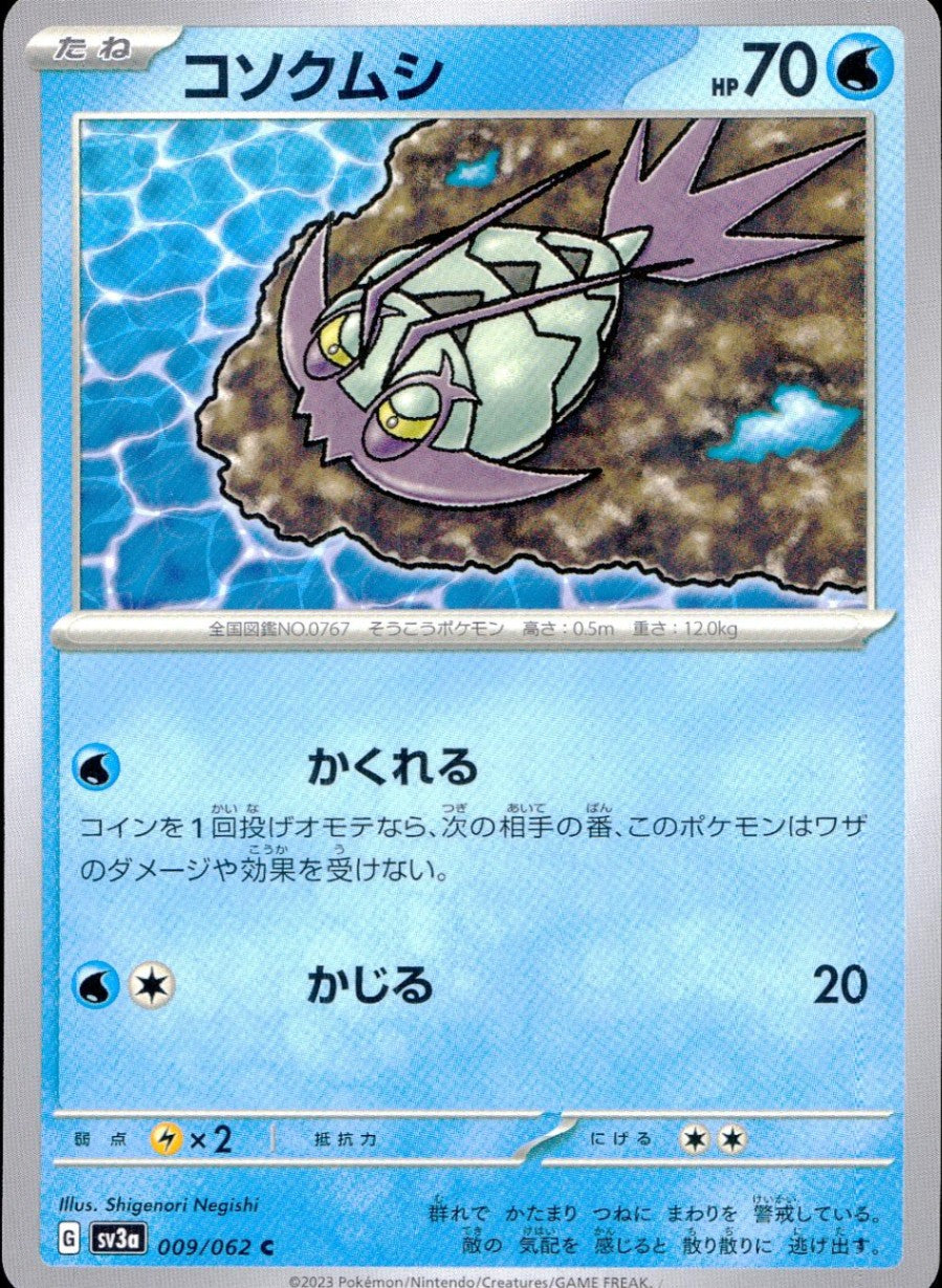 009/062/SV3A/B/C コソクムシ