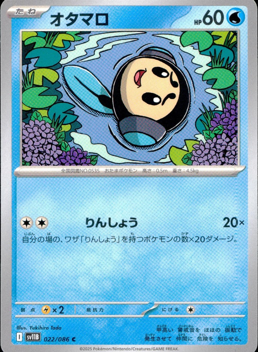 022/086/SV11B/B/C Otamaro