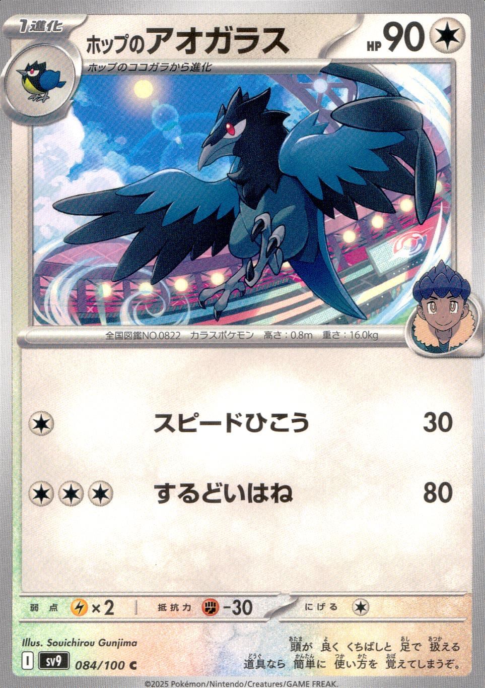 084/100/SV9/B/C ホップのアオガラス