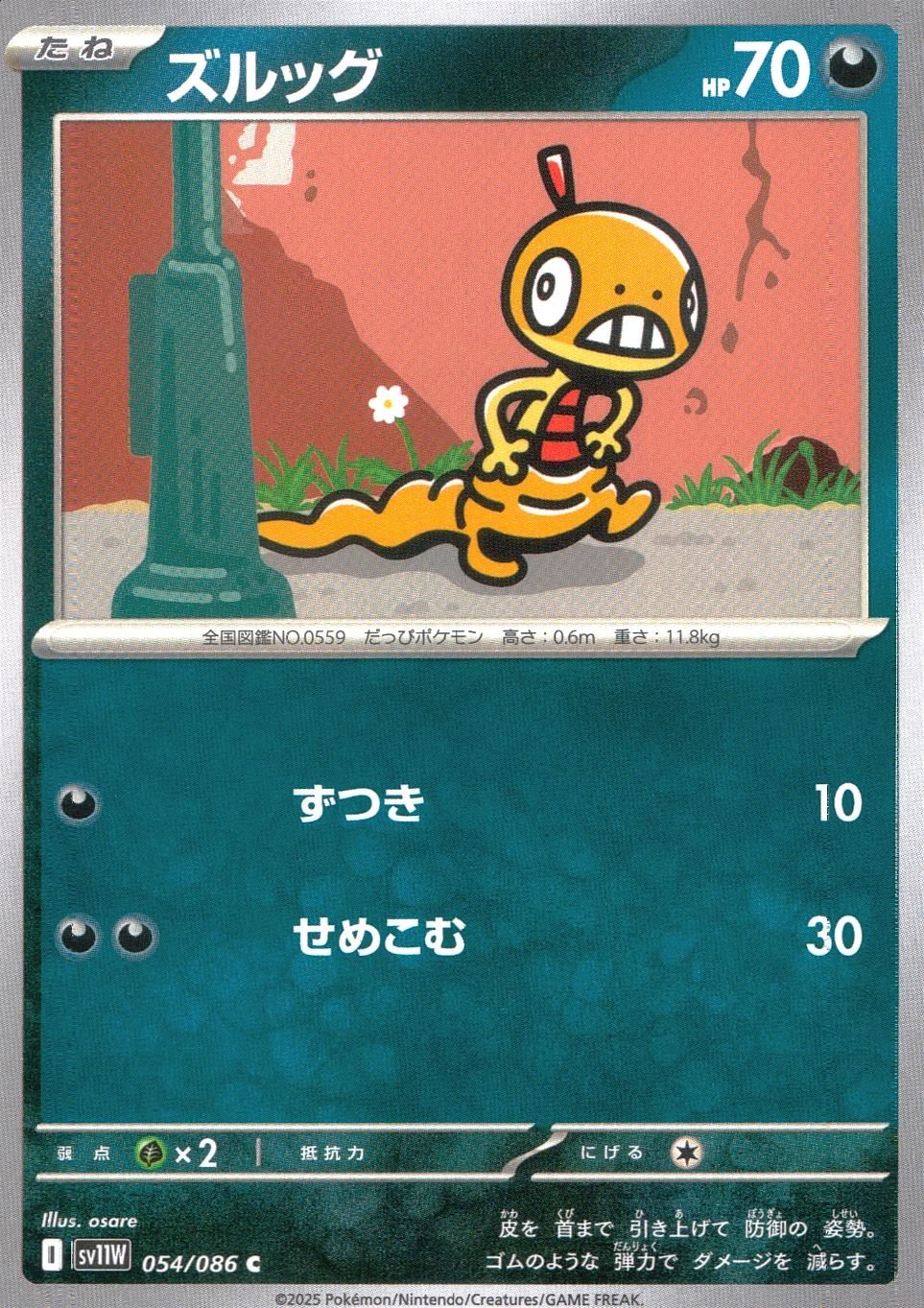 054/086/SV11W/B/C ズルッグ