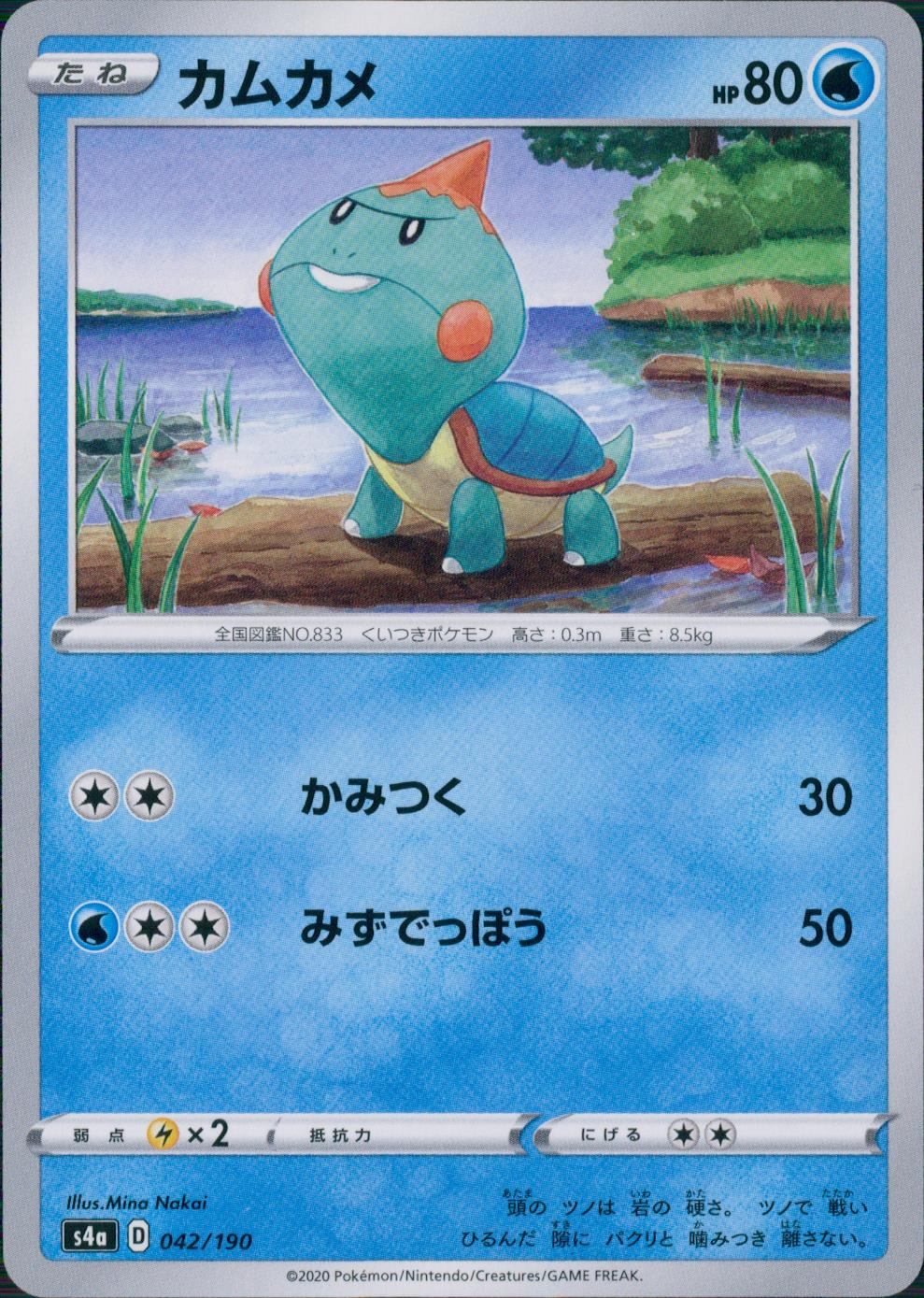 042/190/S4A/B カムカメ