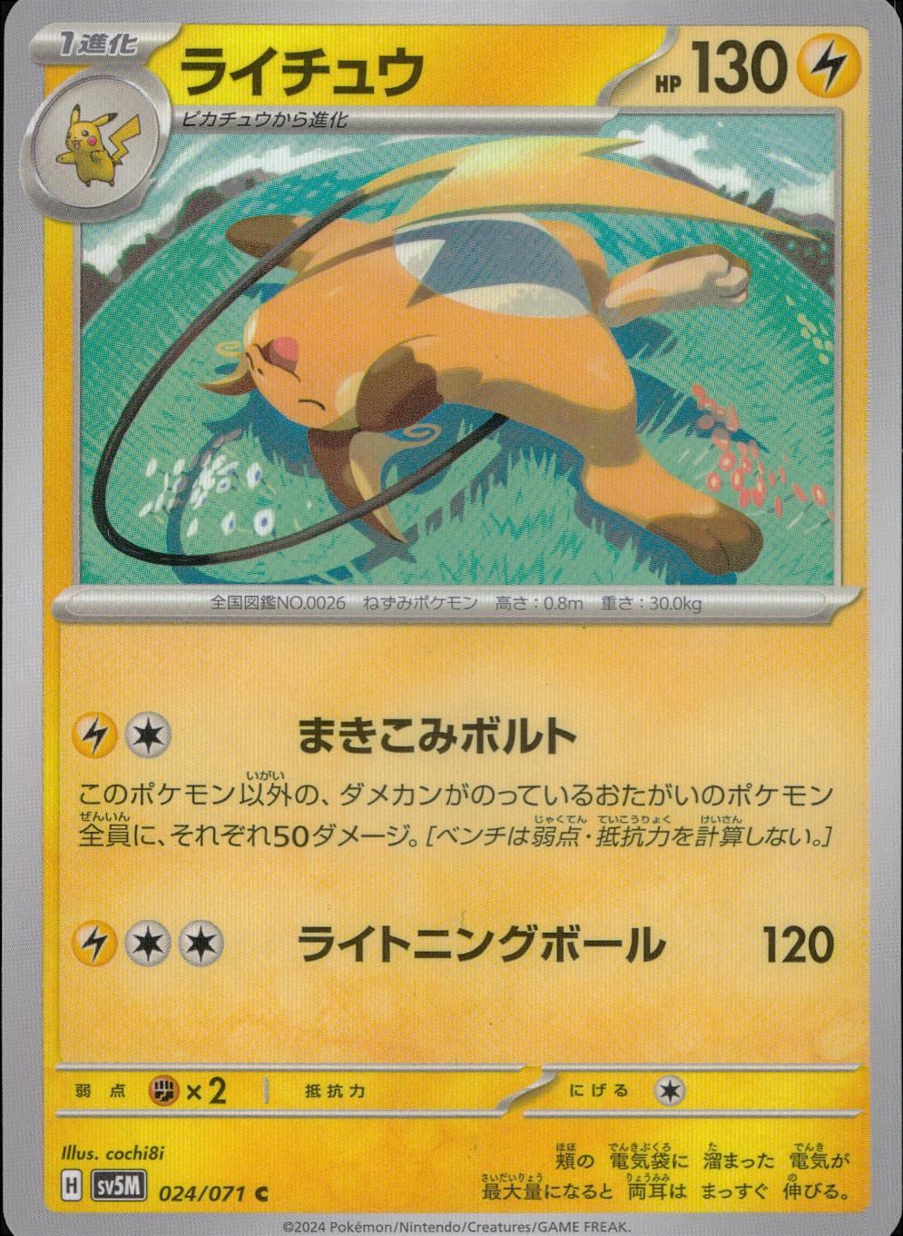 024/071/SV5M/B/C Raichu