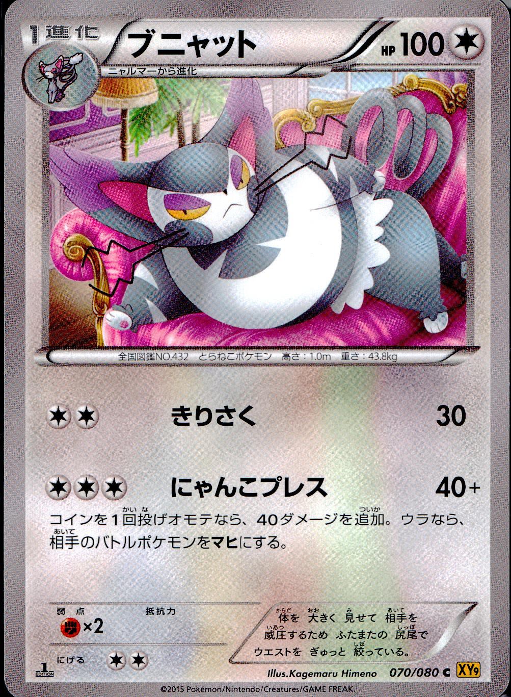 070/080/C/XY9/B ブニャット
