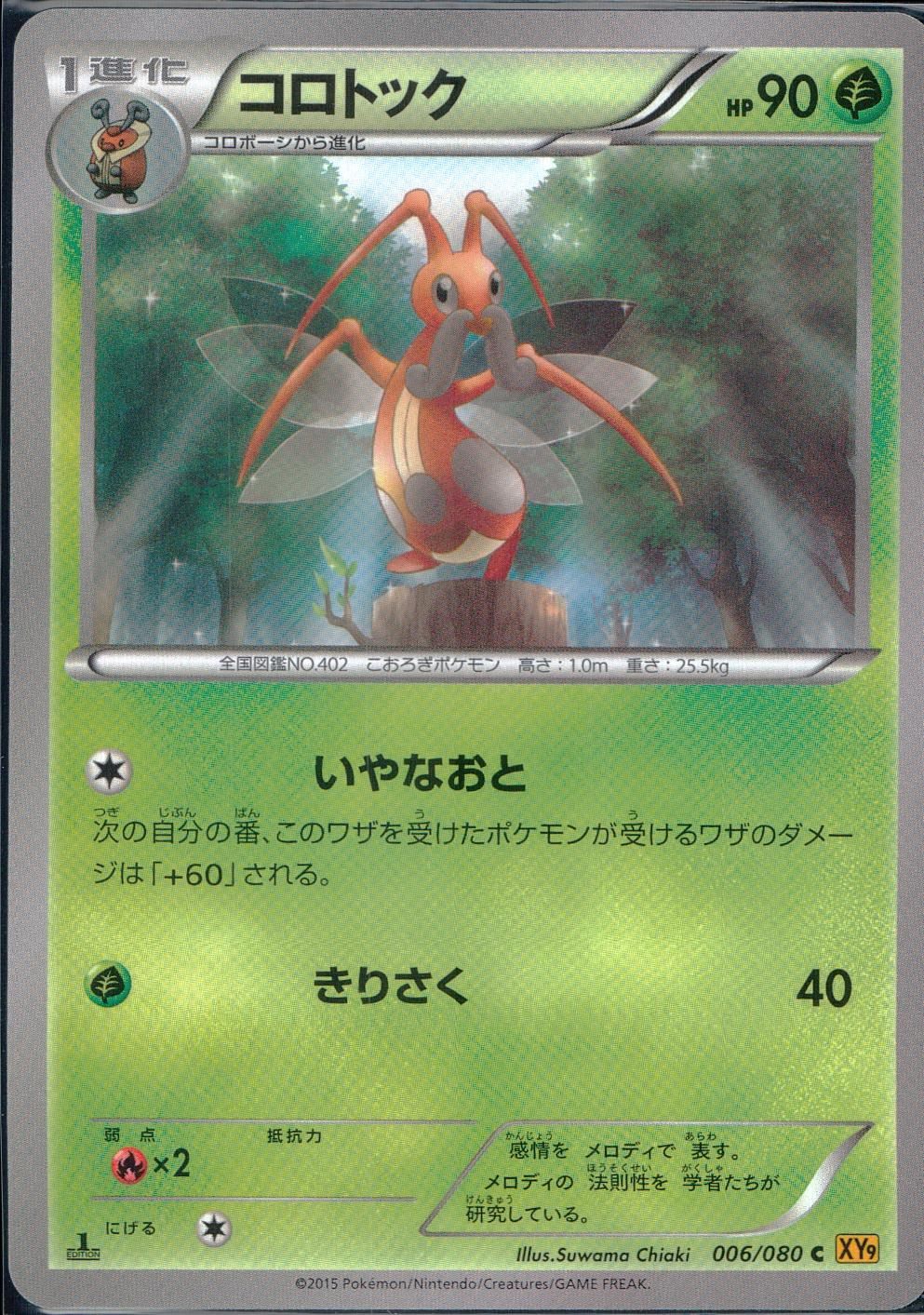 006/080/C/XY9/B コロトック