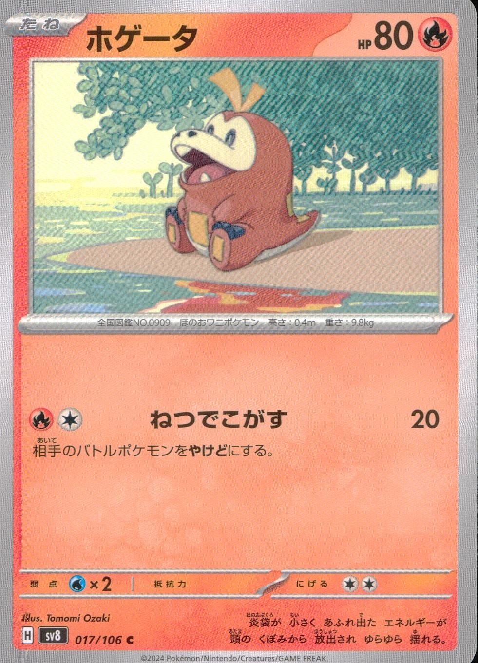 017/106/SV8/B/C ホゲータ
