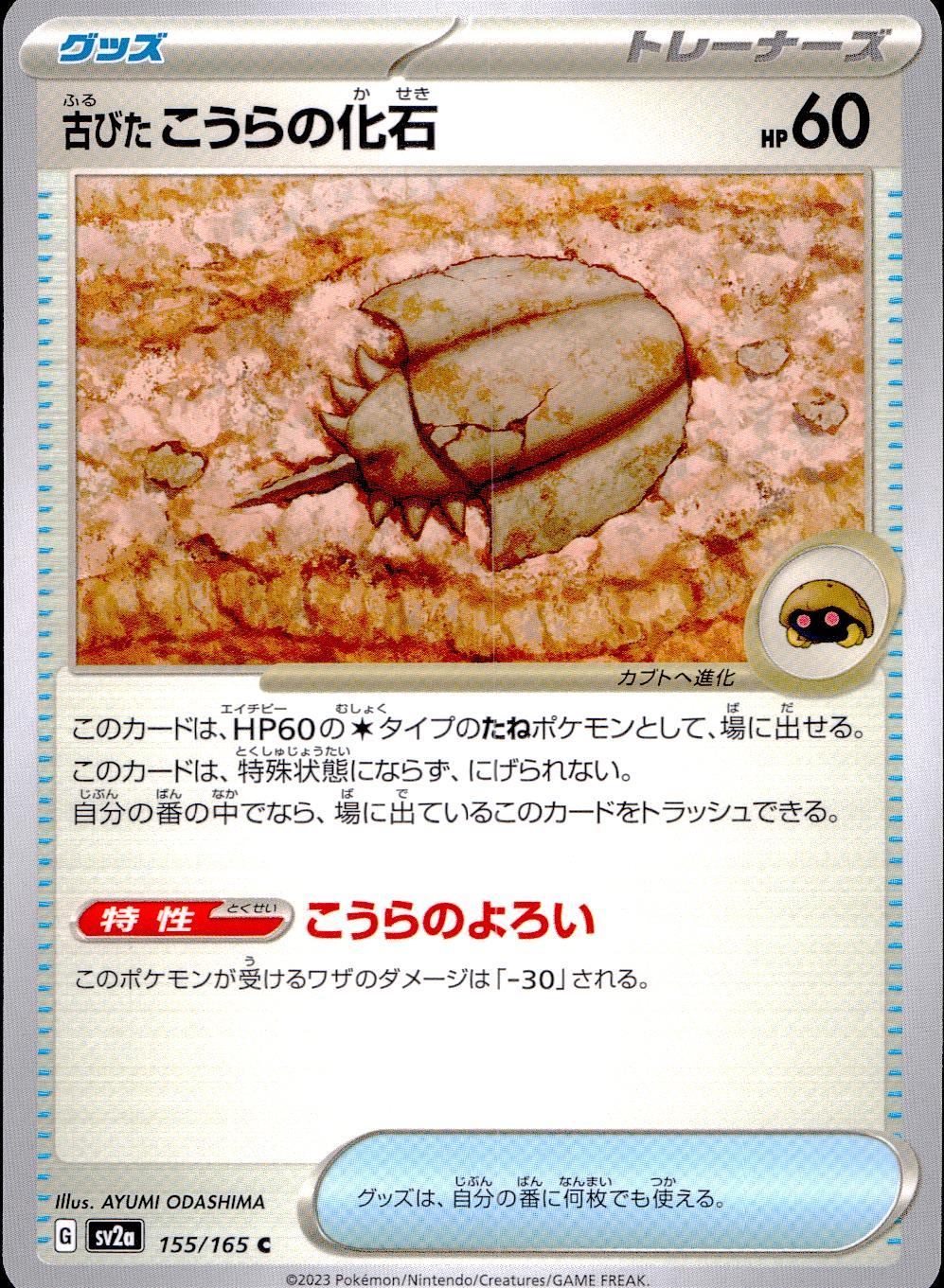 155/165/SV2A/B/C Old shell fossil