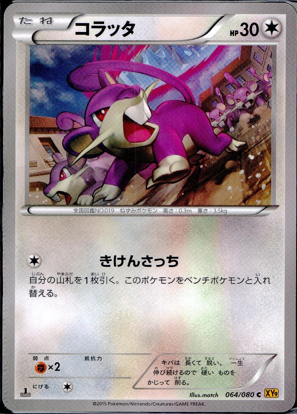 064/080/C/XY9/B コラッタ
