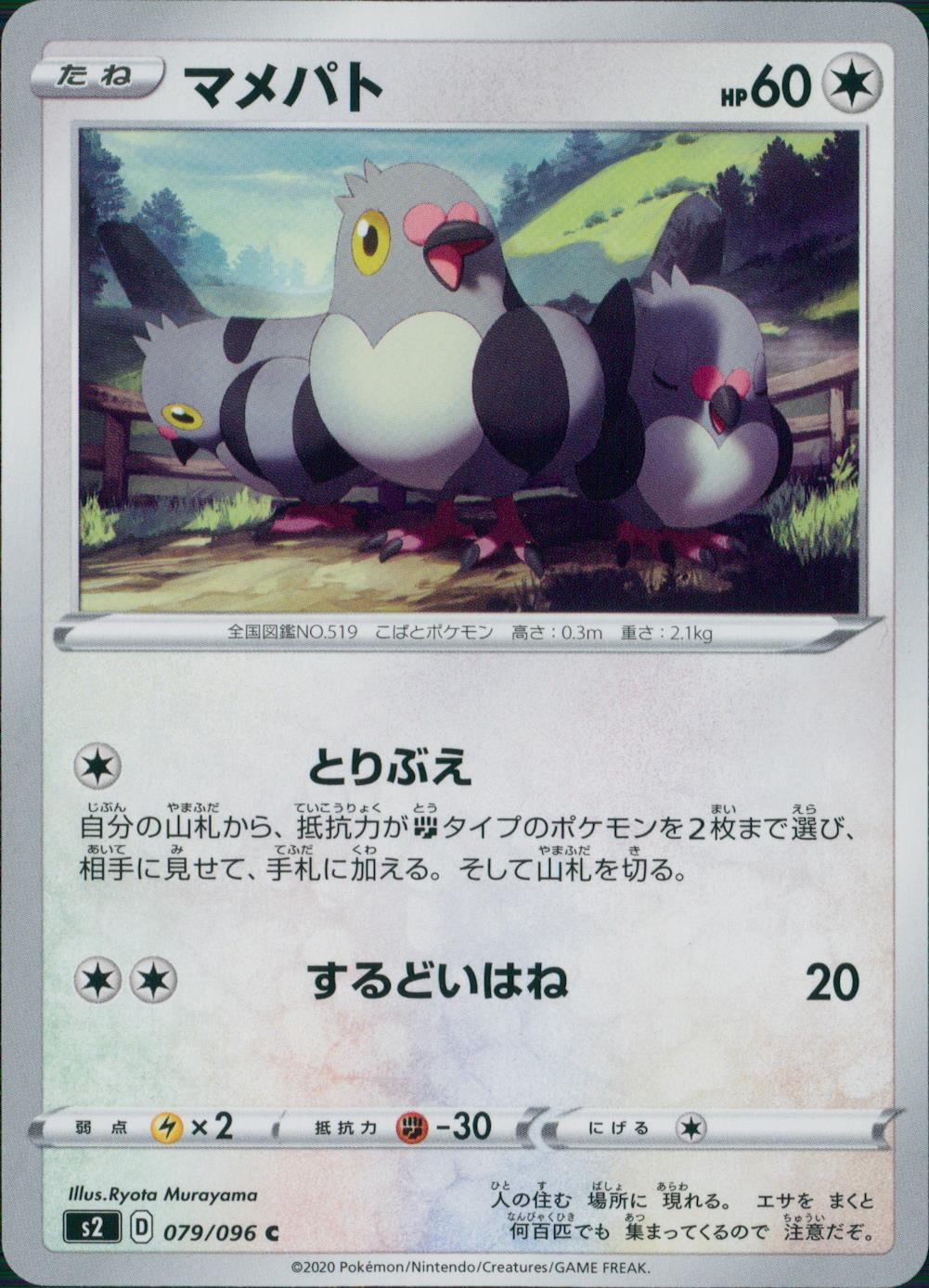 079/096/S2/B/C マメパト