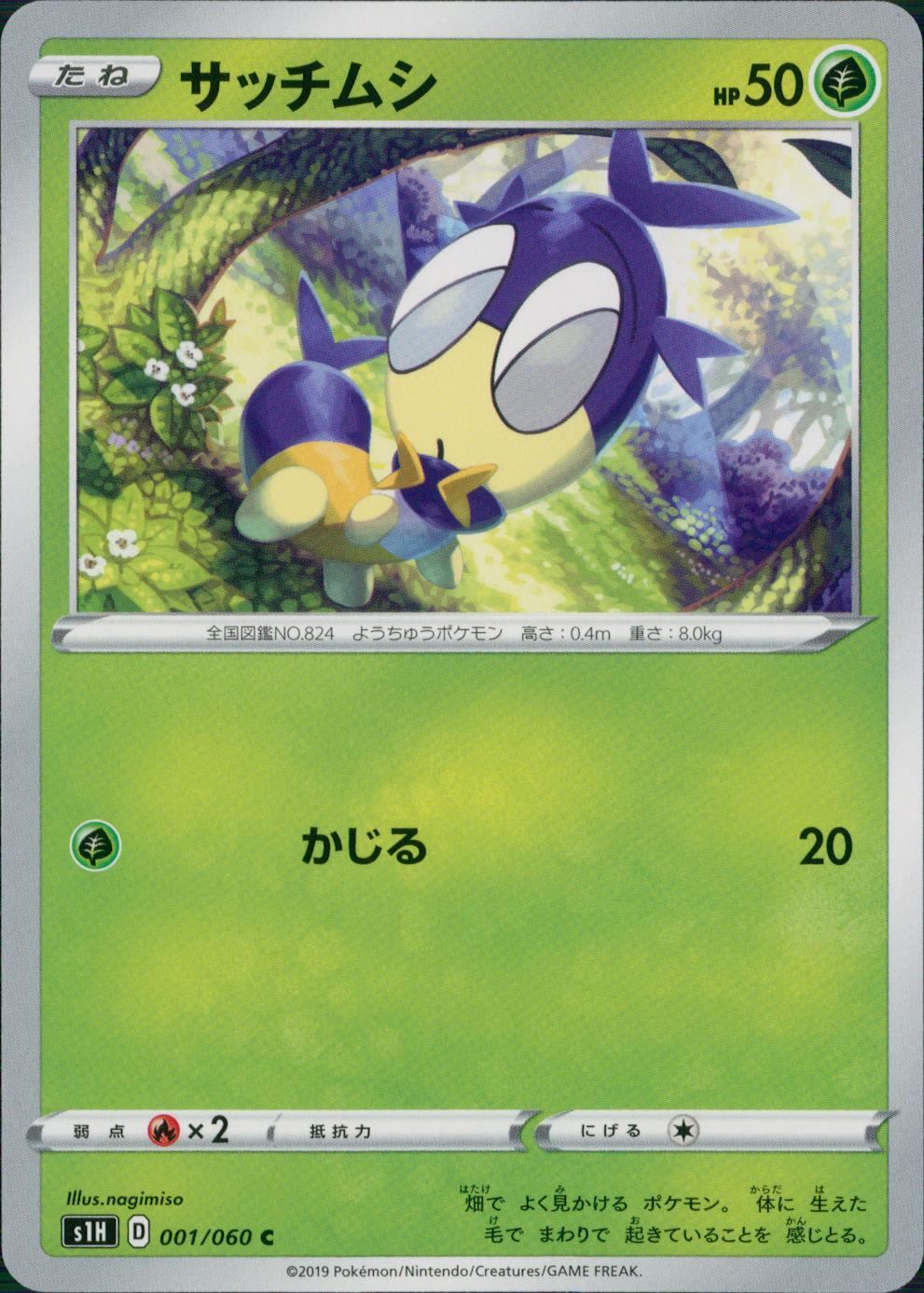 001/060/S1H/B/C サッチムシ