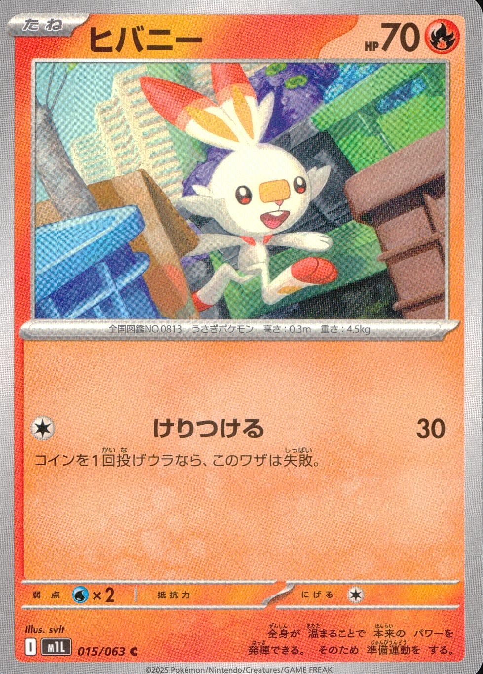 015/063/M1L/B/C Scorbunny