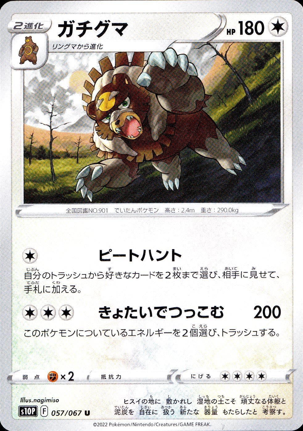 057/067/S10P/B/U ガチグマ