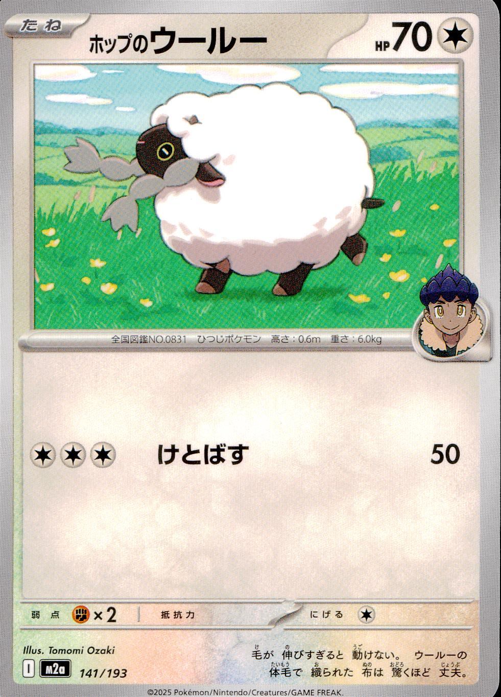 141/193/M2a ホップのウールー