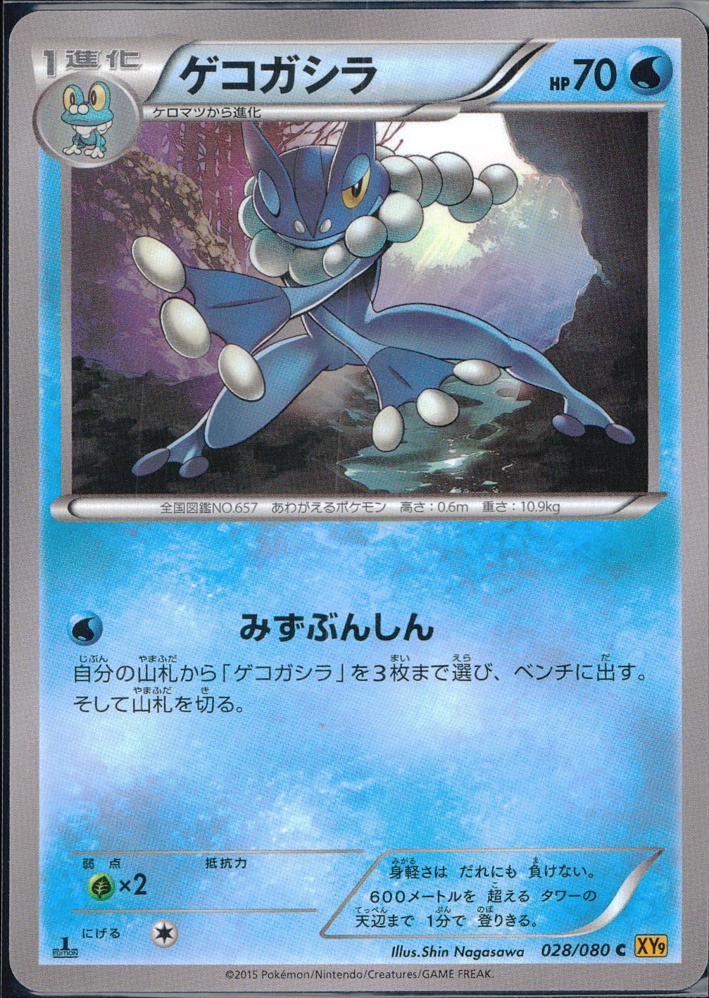 028/080/C/XY9/B ゲコガシラ