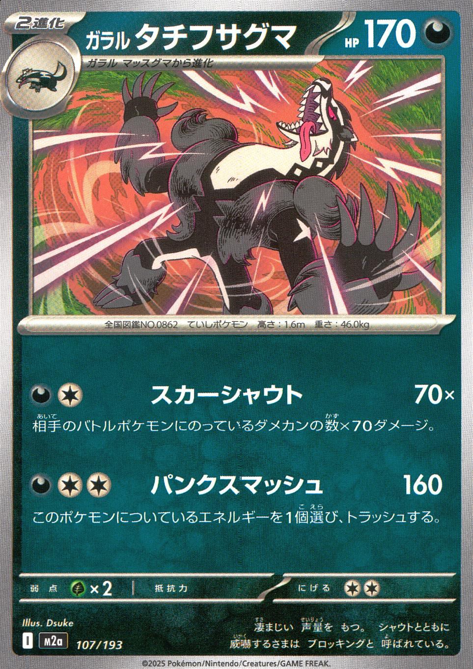 107/193/M2a ガラルタチフサグマ