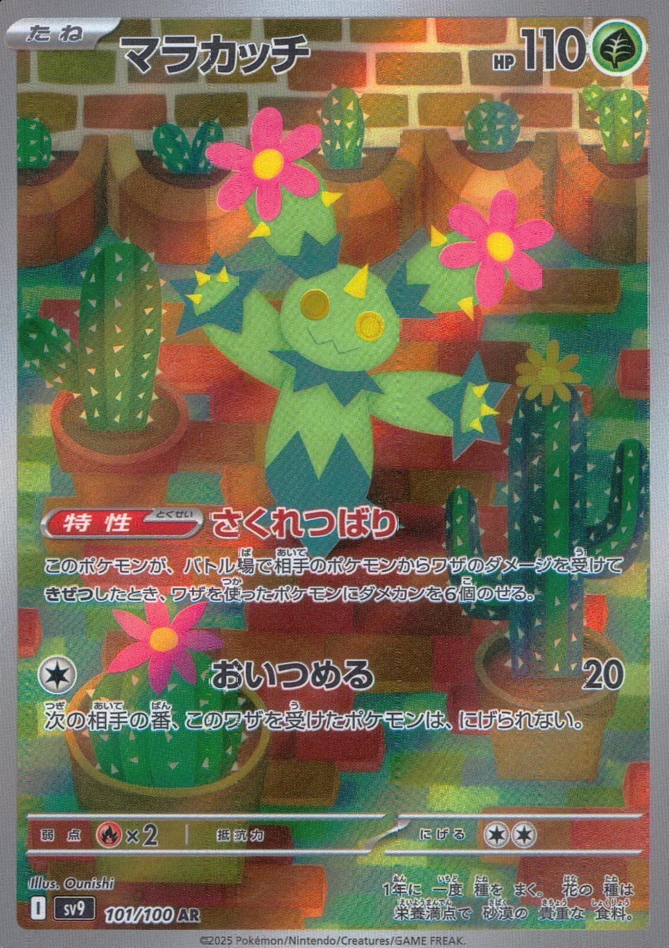 101/100/SV9/B/AR マラカッチ