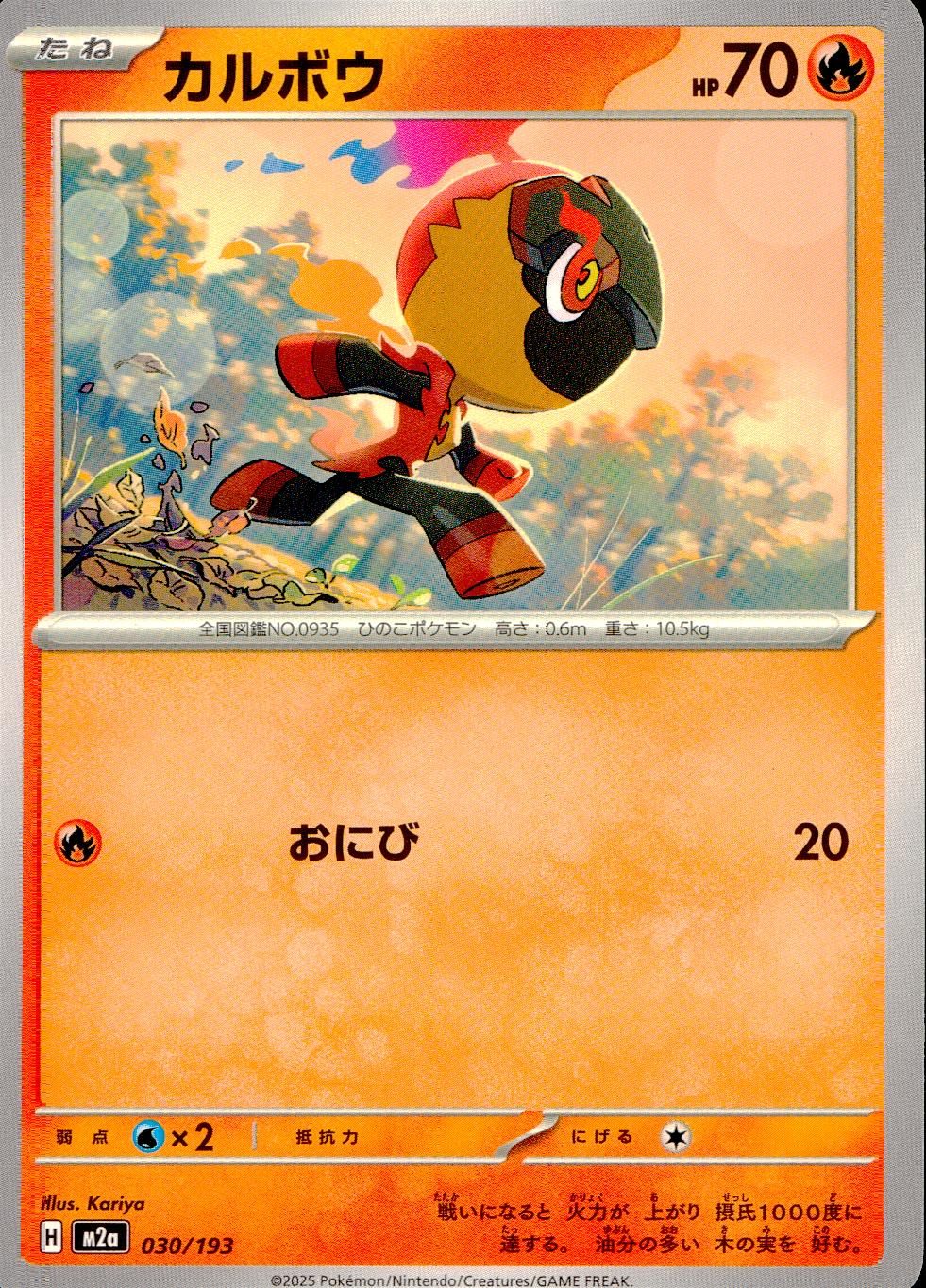 030/193/M2a カルボウ