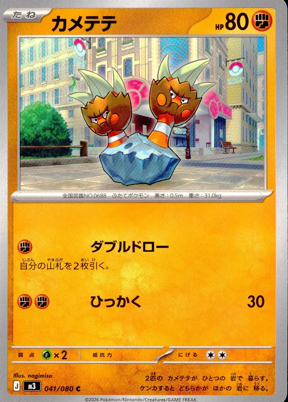 041/080/M3/C カメテテ