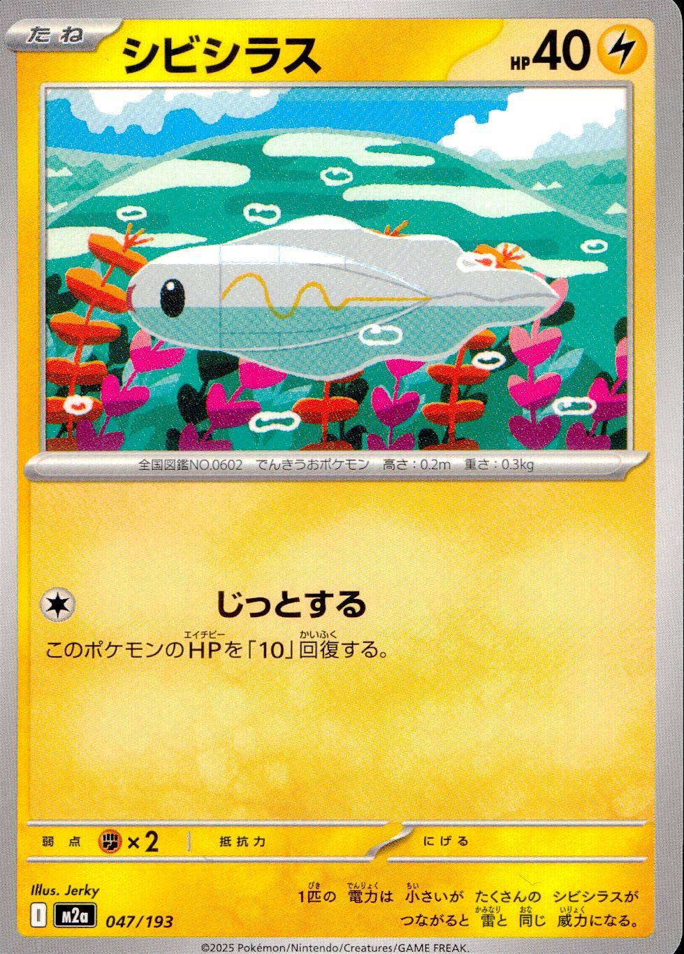 047/193/M2a シビシラス