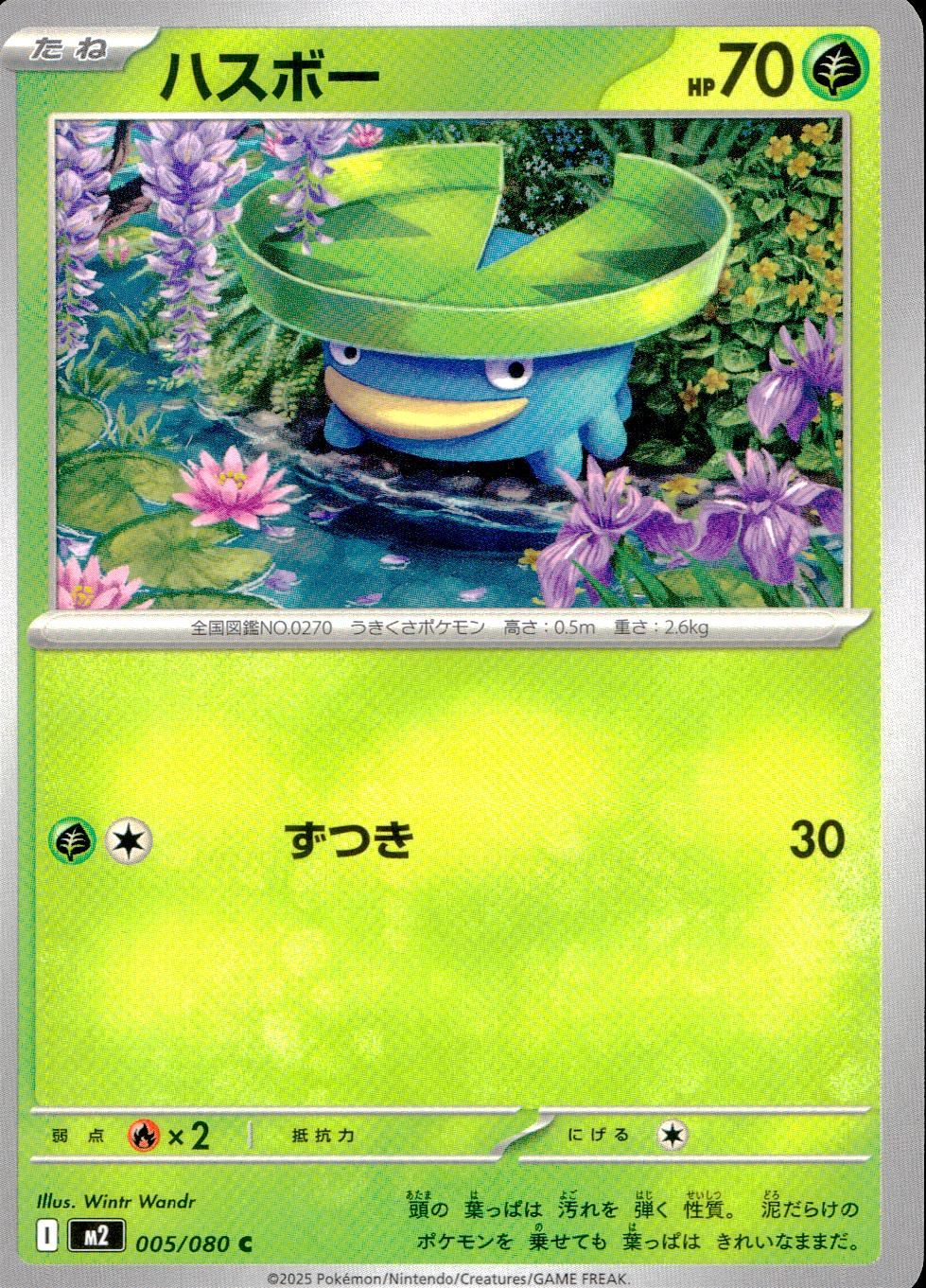 005/080/M2/B/C ハスボー