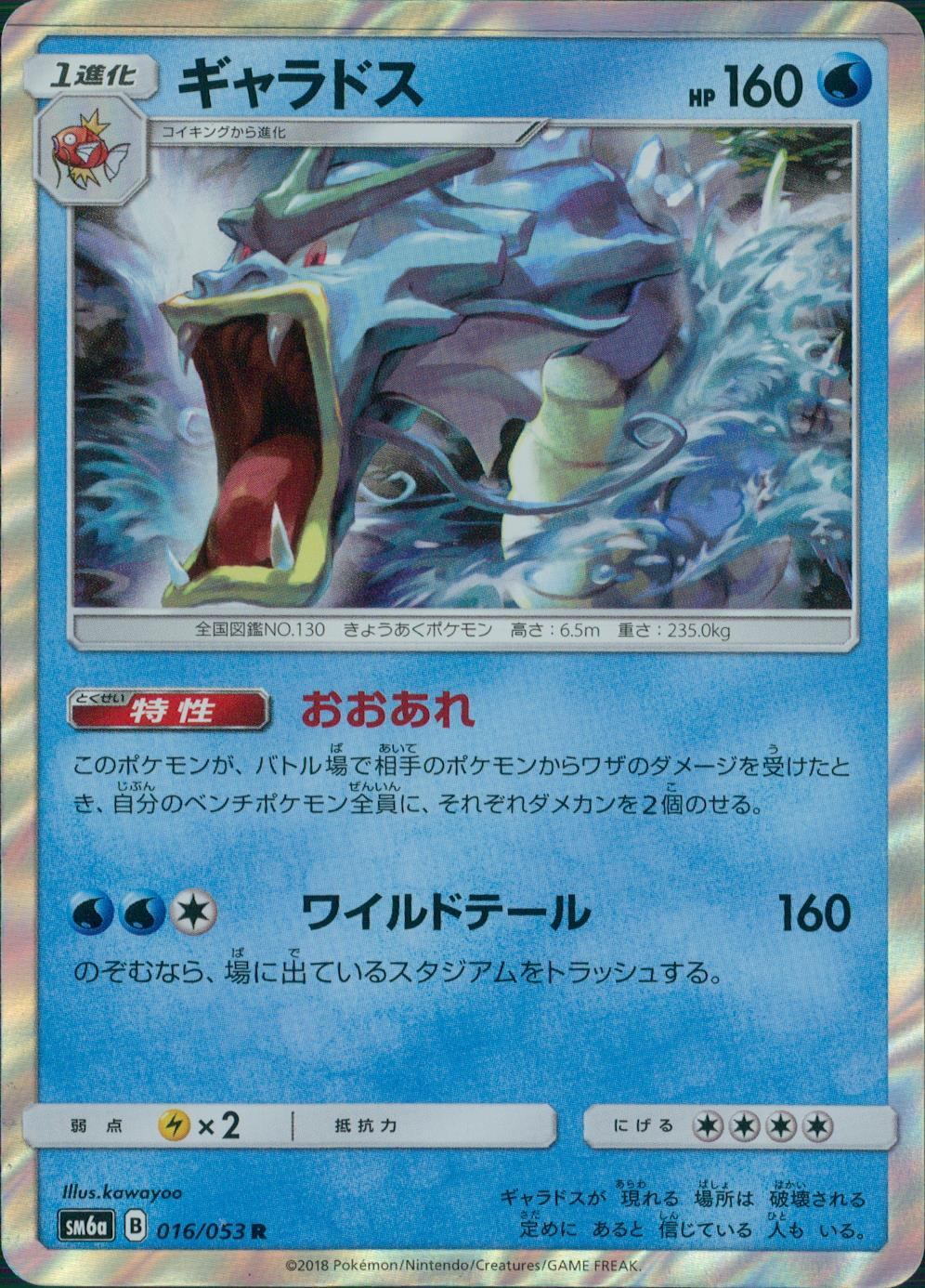 016/053/SM6A/ギャラドス
