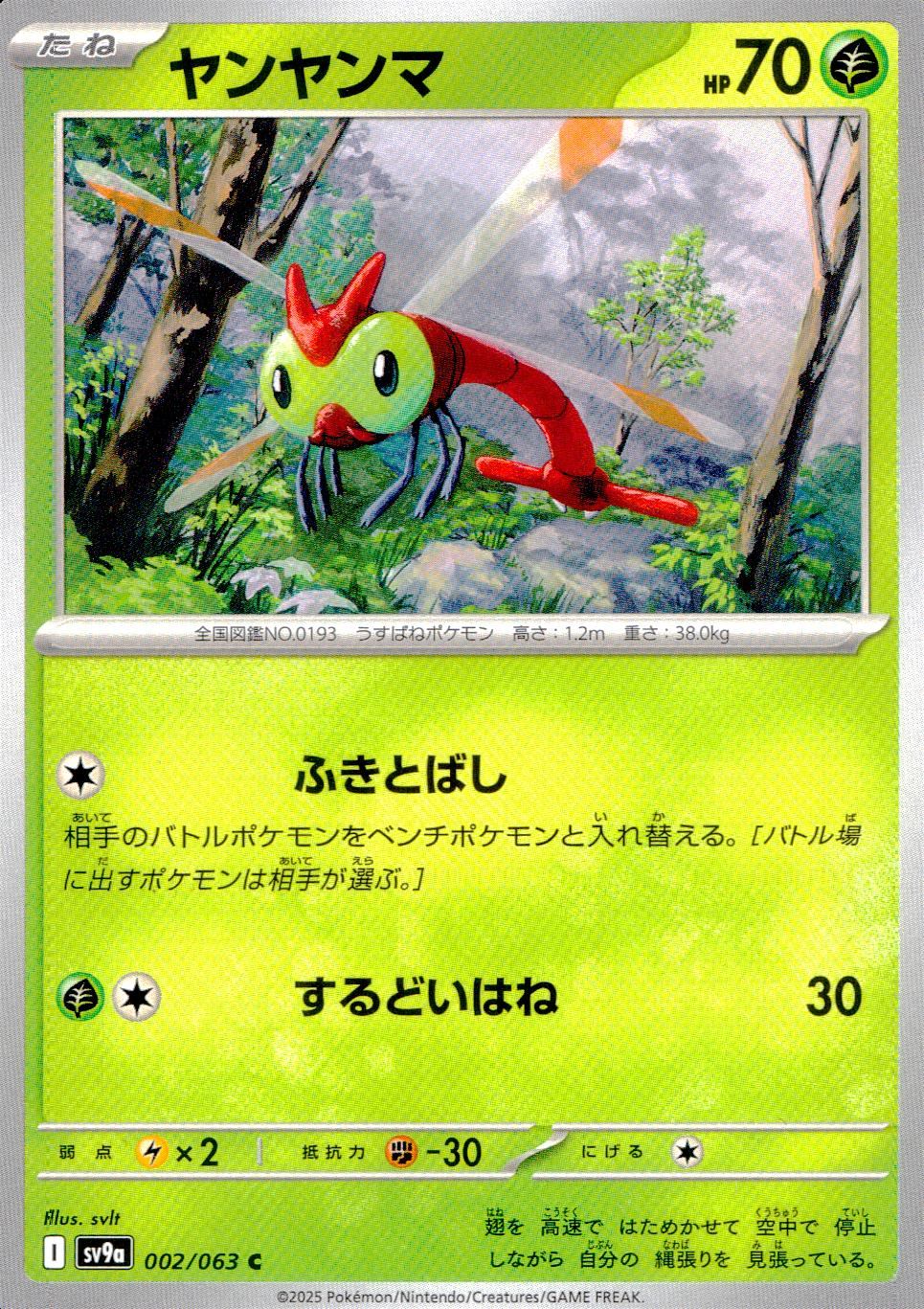 002/063/SV9A/B/C ヤンヤンマ