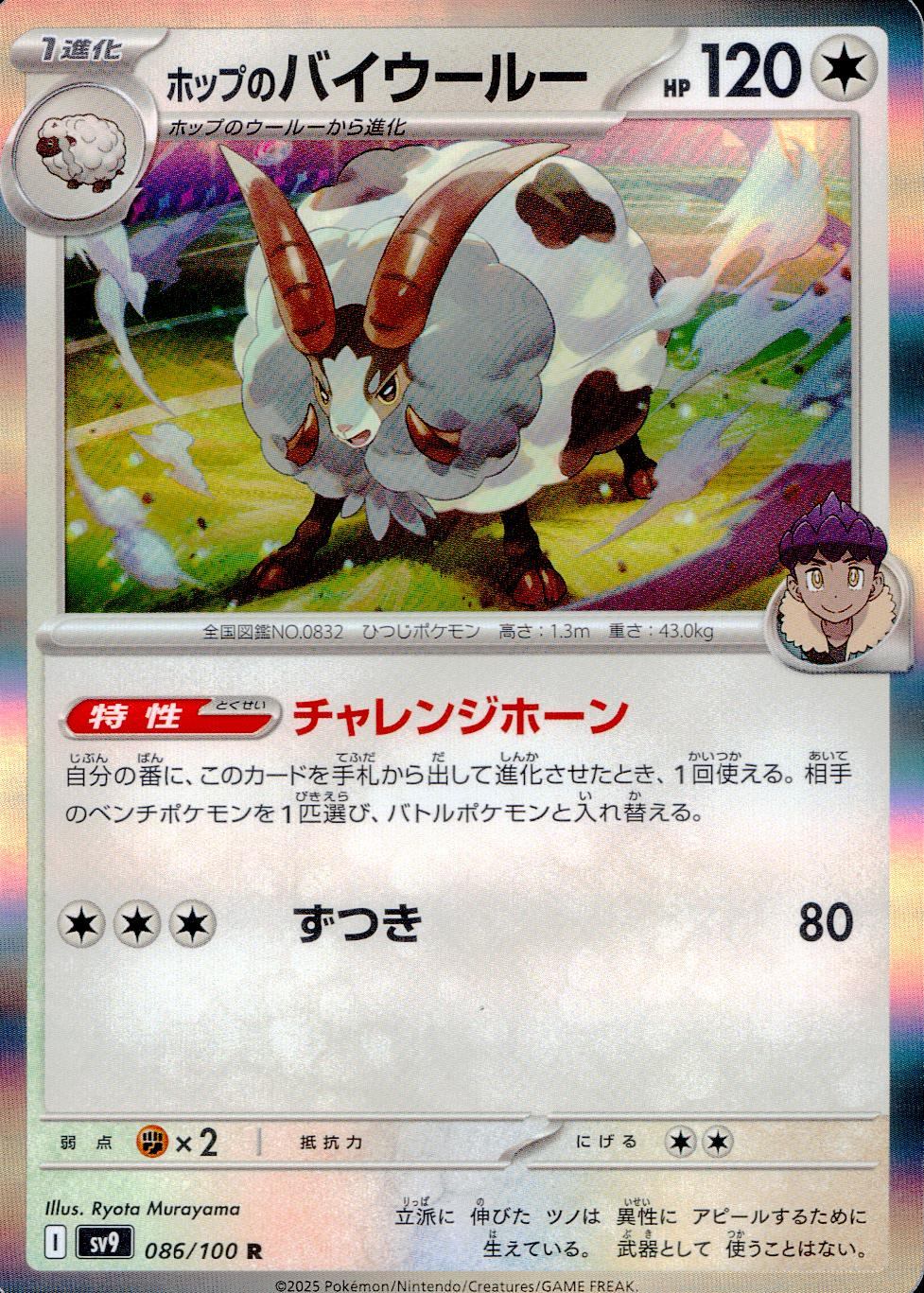 086/100/SV9/B/R ホップのバイウールー