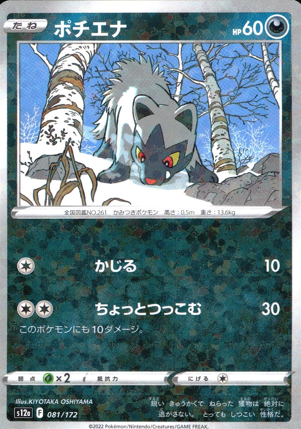 081/172/S12A/BM Poochyena Mirror