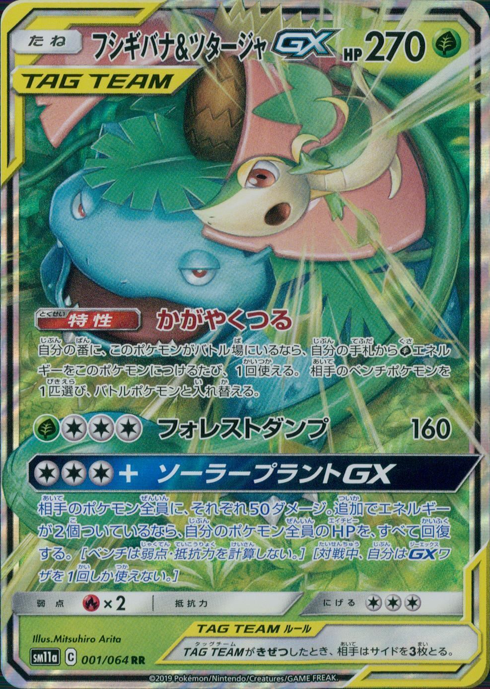 001/064/SM11A/B/RR フシギバナ&ツタージャGX