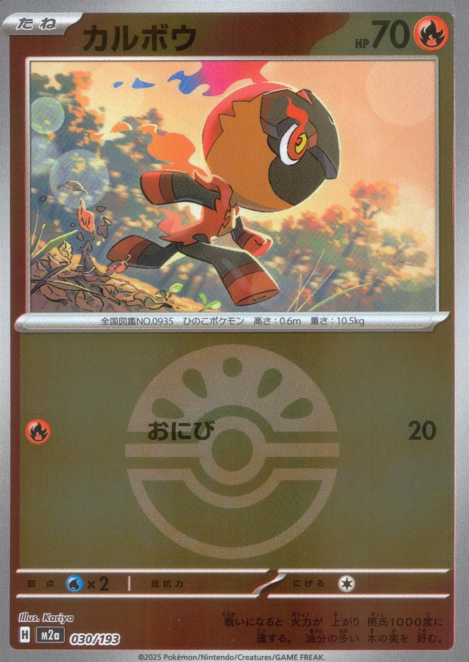 030/193/M2a/MB カルボウ(ボールミラー)