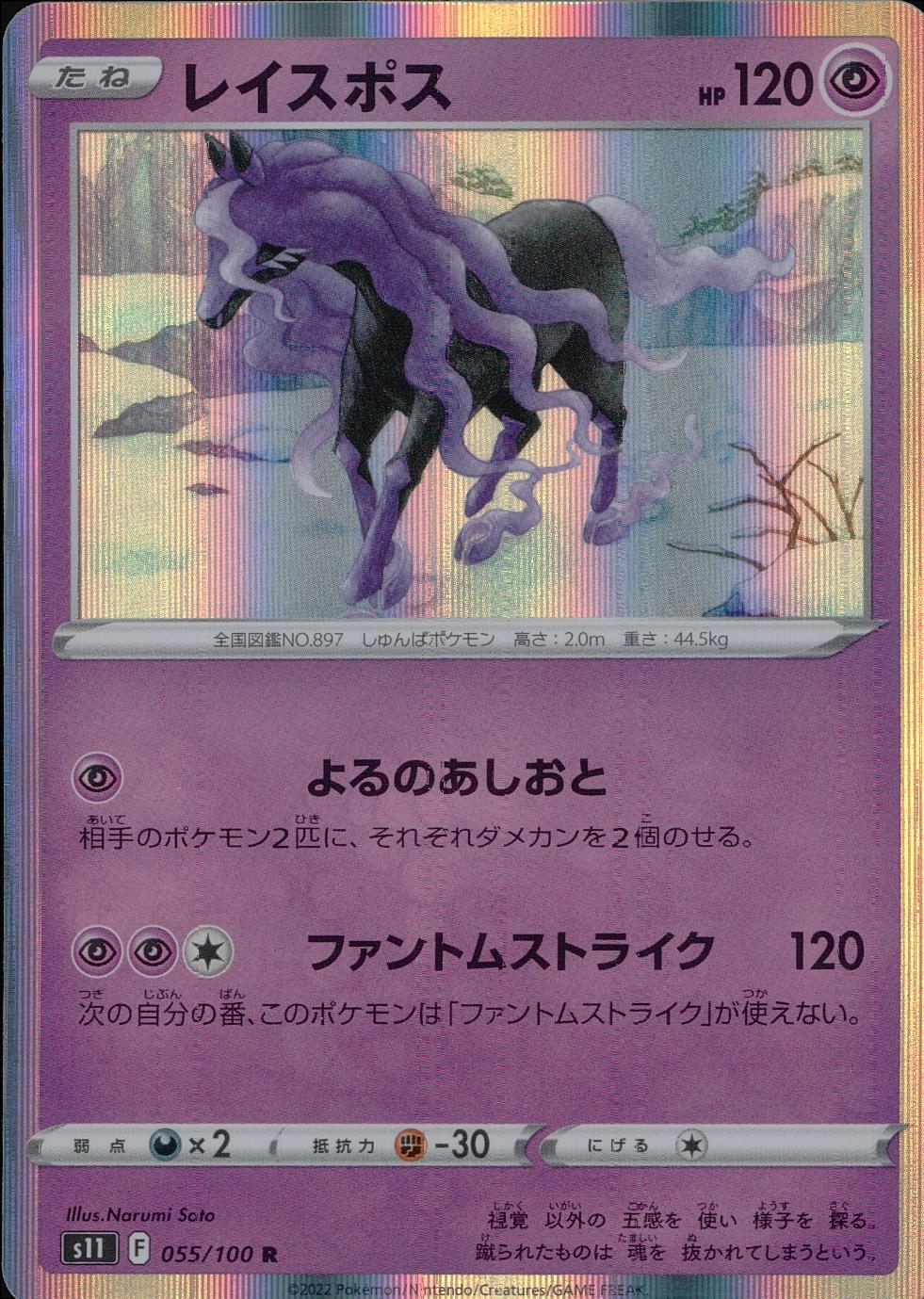 055/100/S11/B/R レイスポス