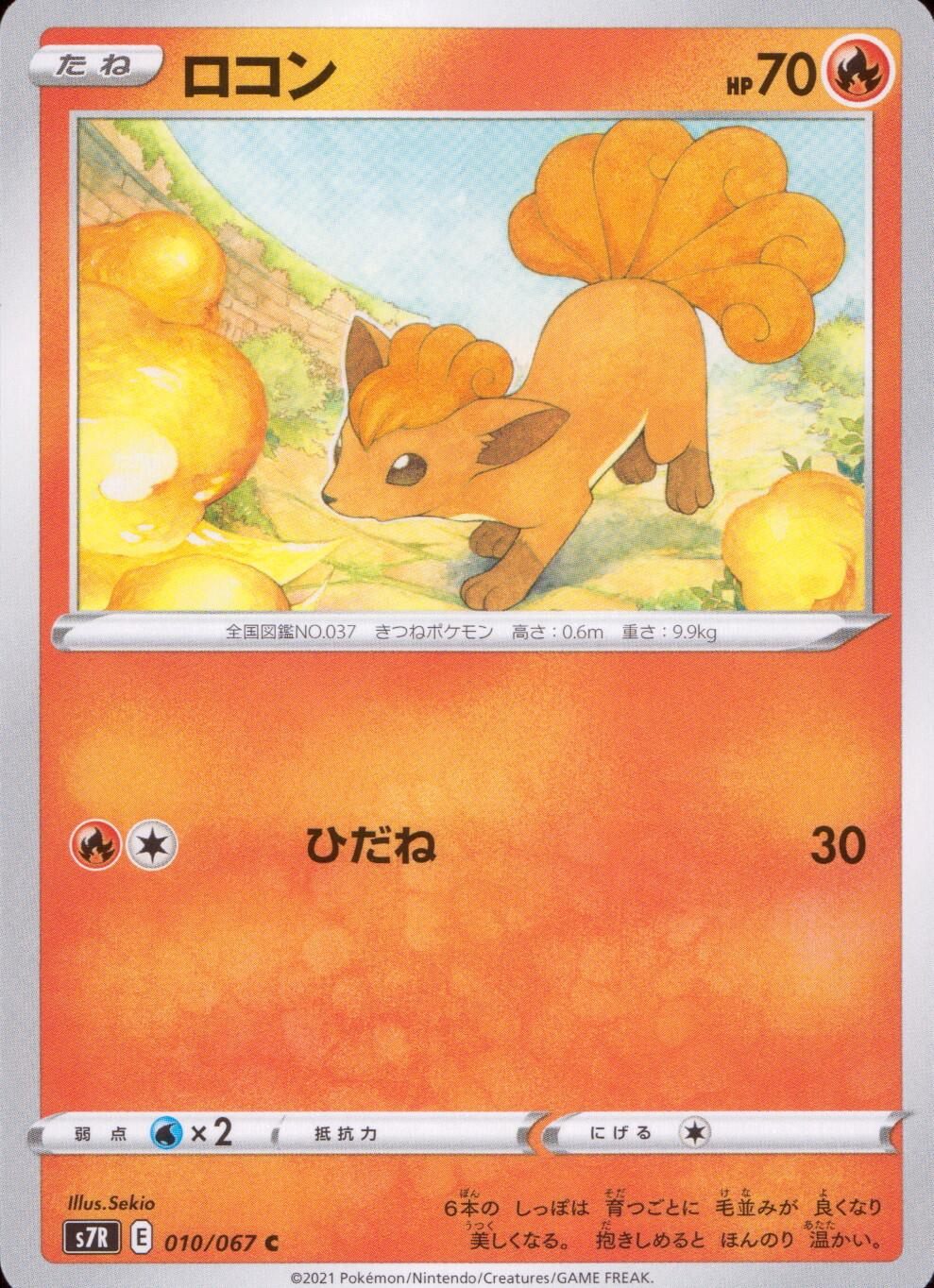 010/067/S7R/B/C ロコン