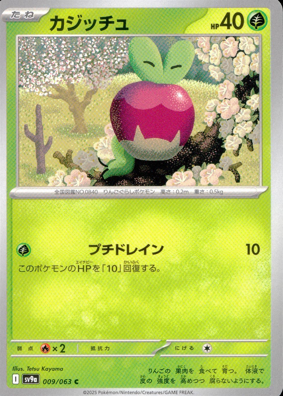 009/063/SV9A/B/C カジッチュ