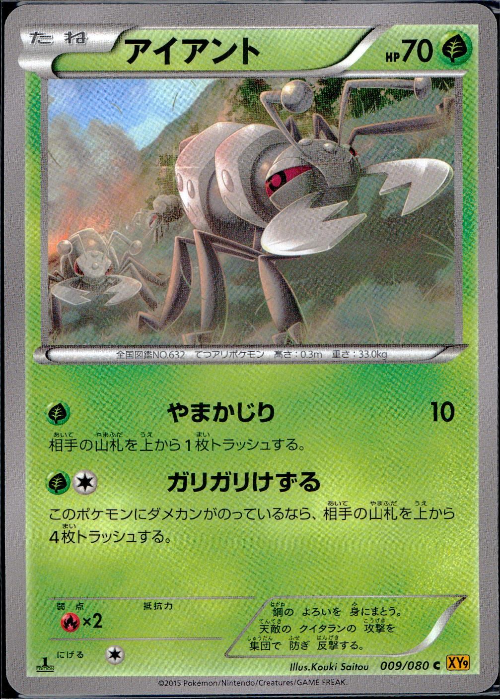 009/080/C/XY9/B アイアント