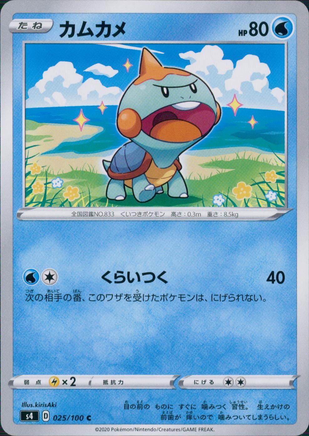 025/100/S4/B/C カムカメ