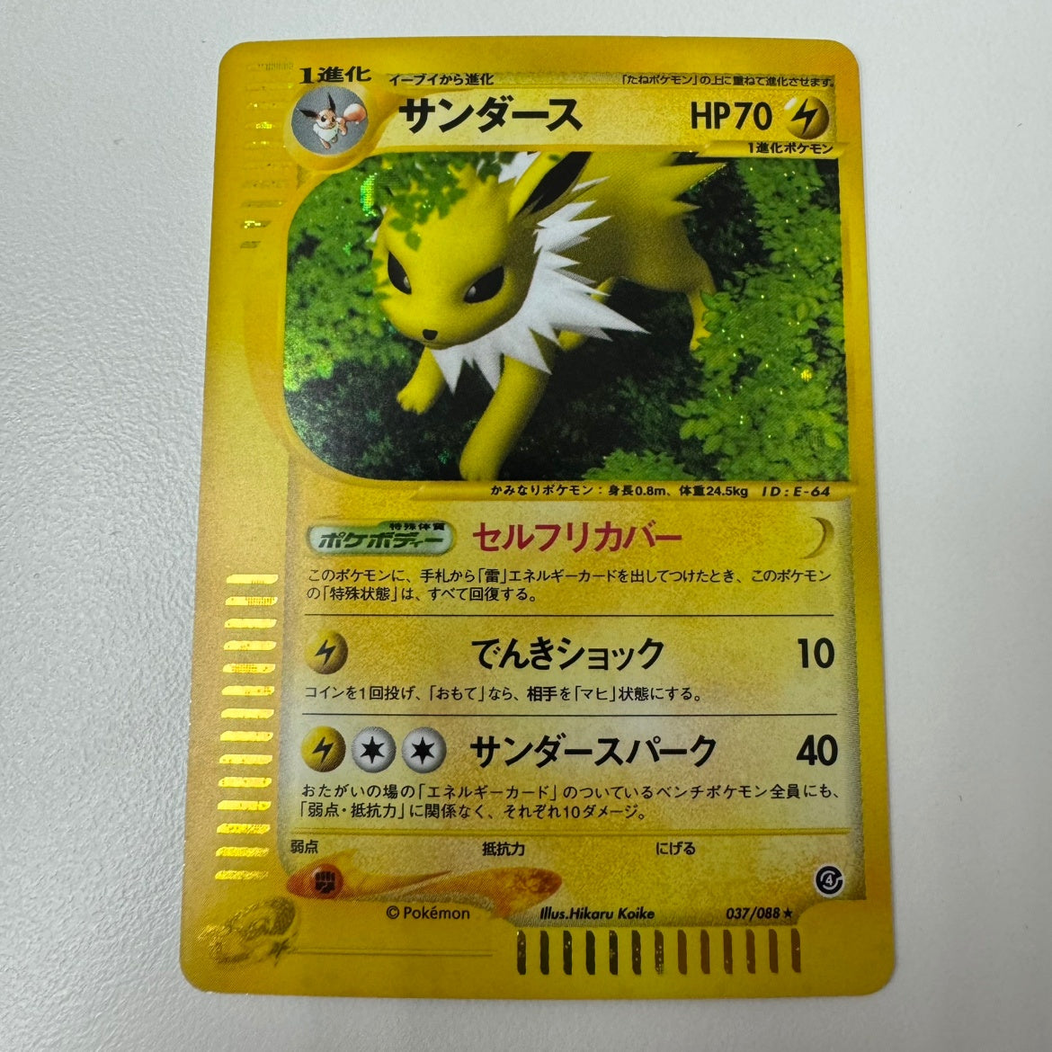 【状態B】 037/088 サンダース eカード アンリミ