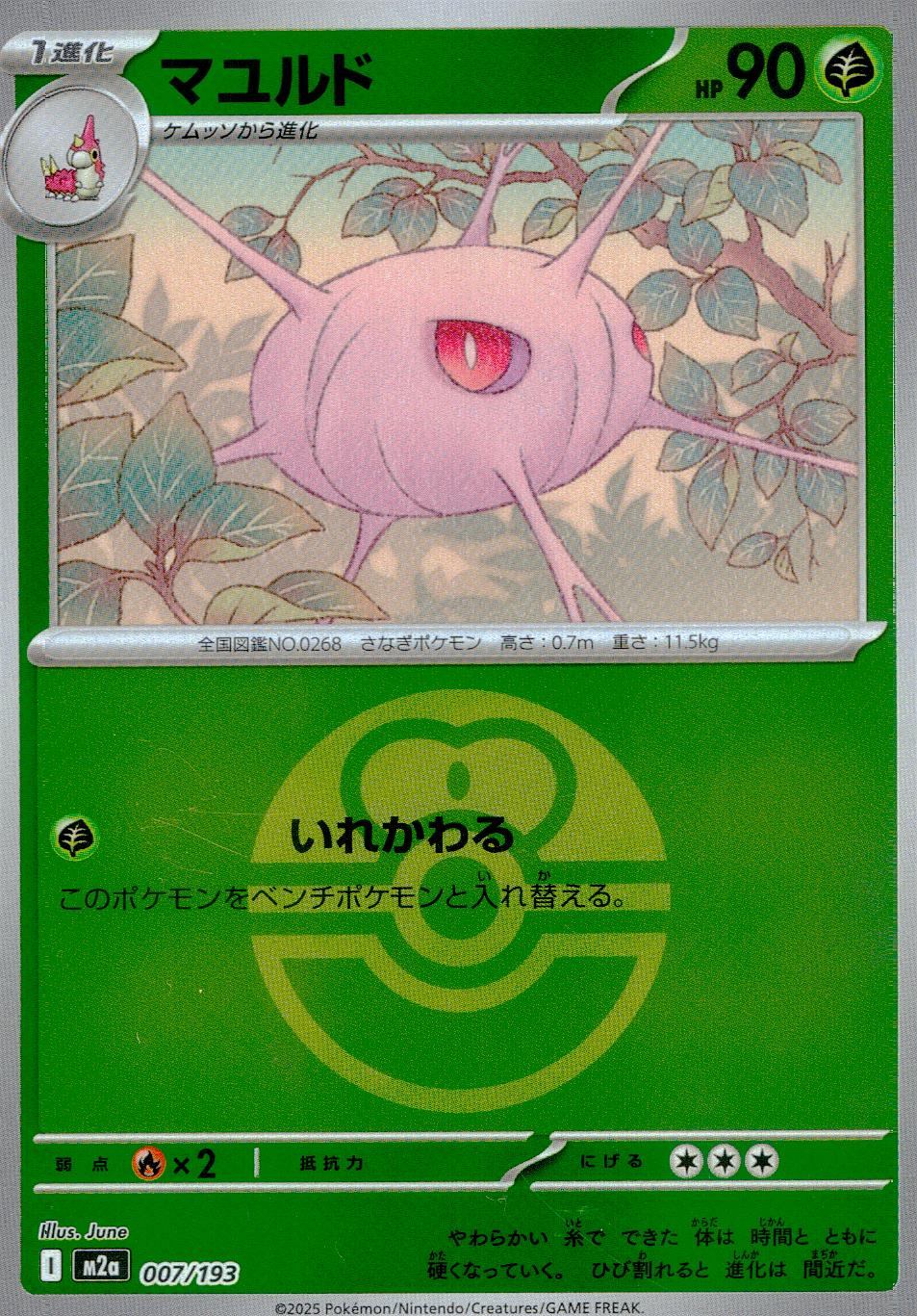 007/193/M2a/MB2/マユルド(ボールミラー)