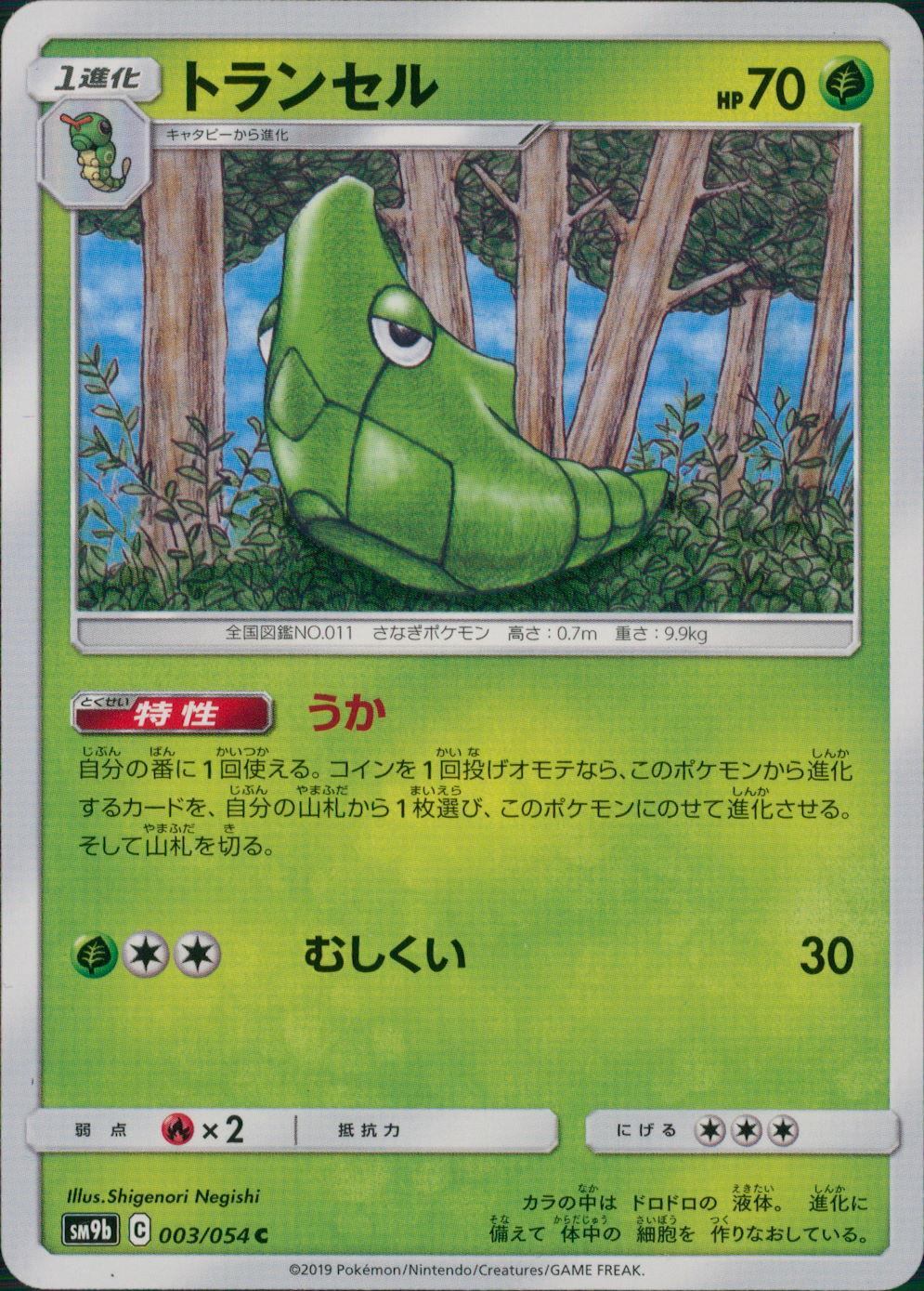 003/054/SM9B/B/C トランセル