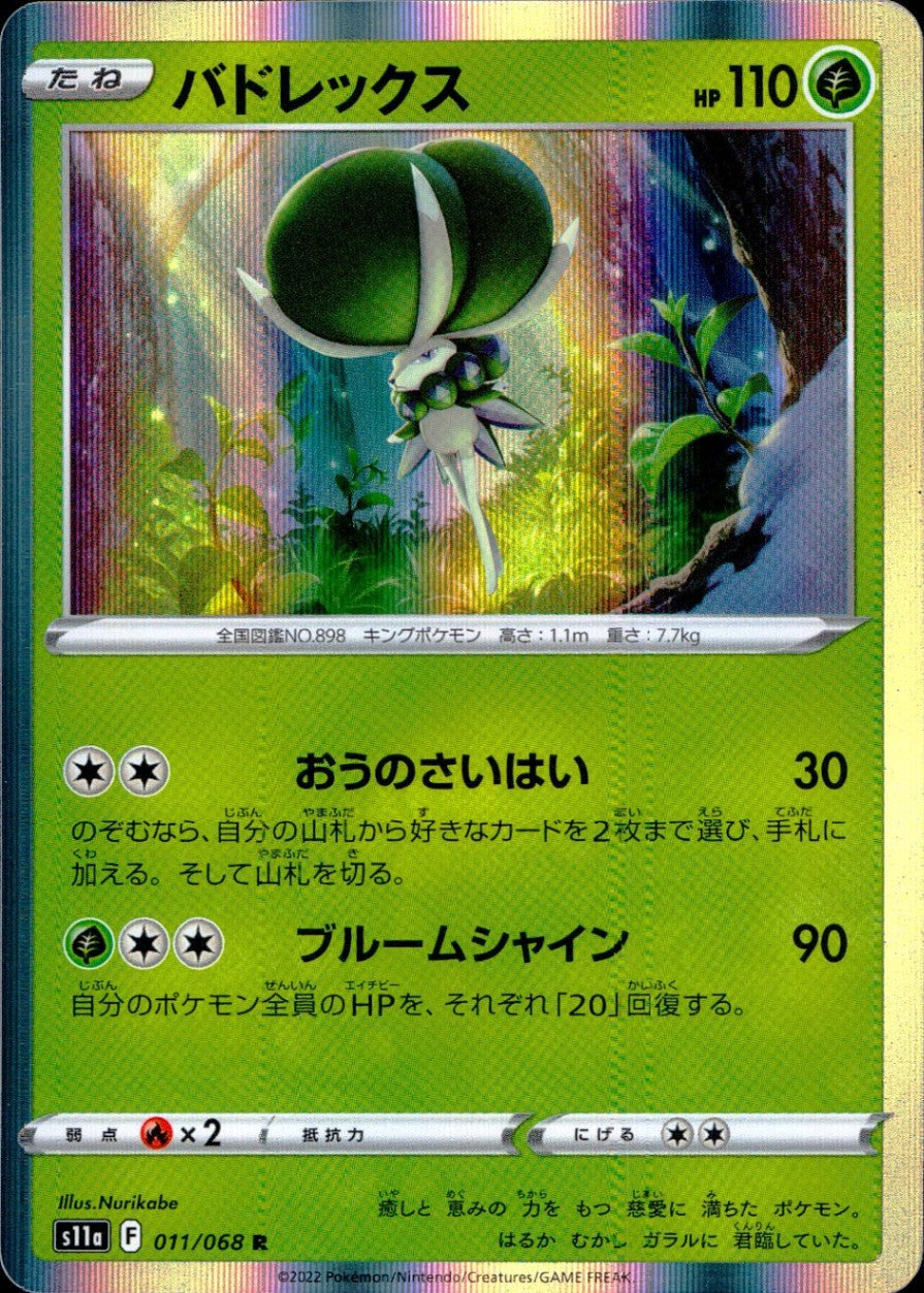011/068/S11A/B/R バドレックス