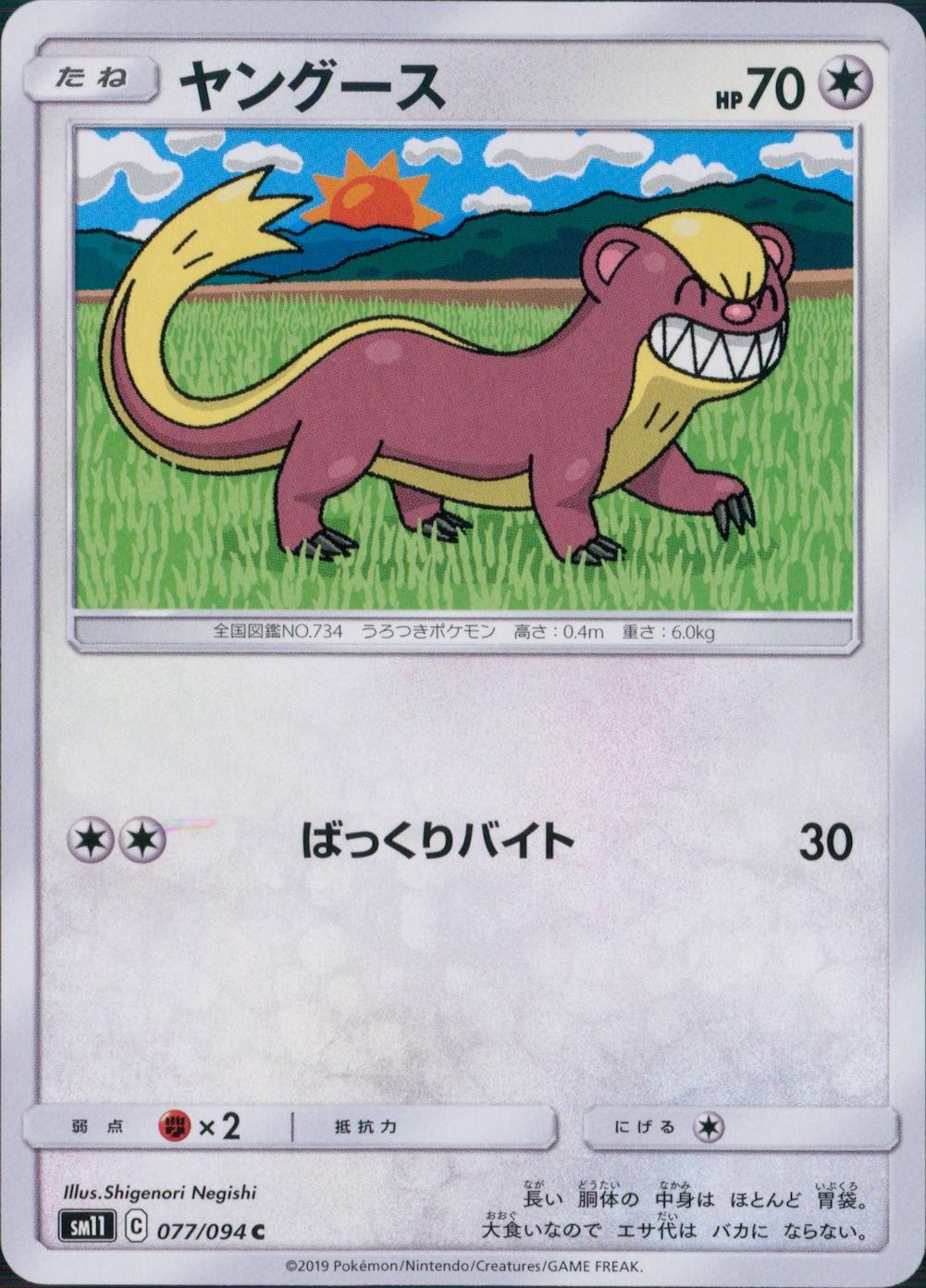 077/094/SM11/B/C ヤングース