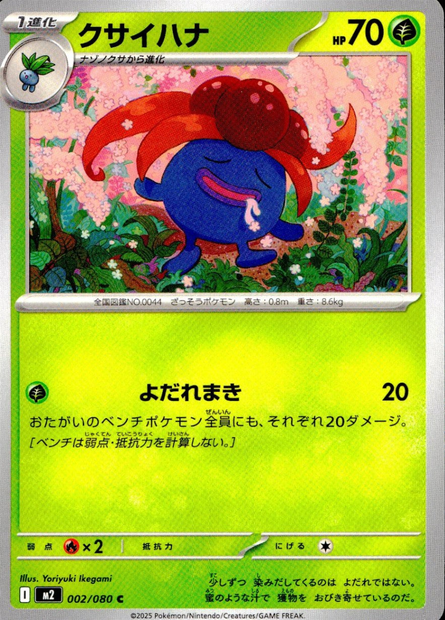 002/080/M2/B/C クサイハナ