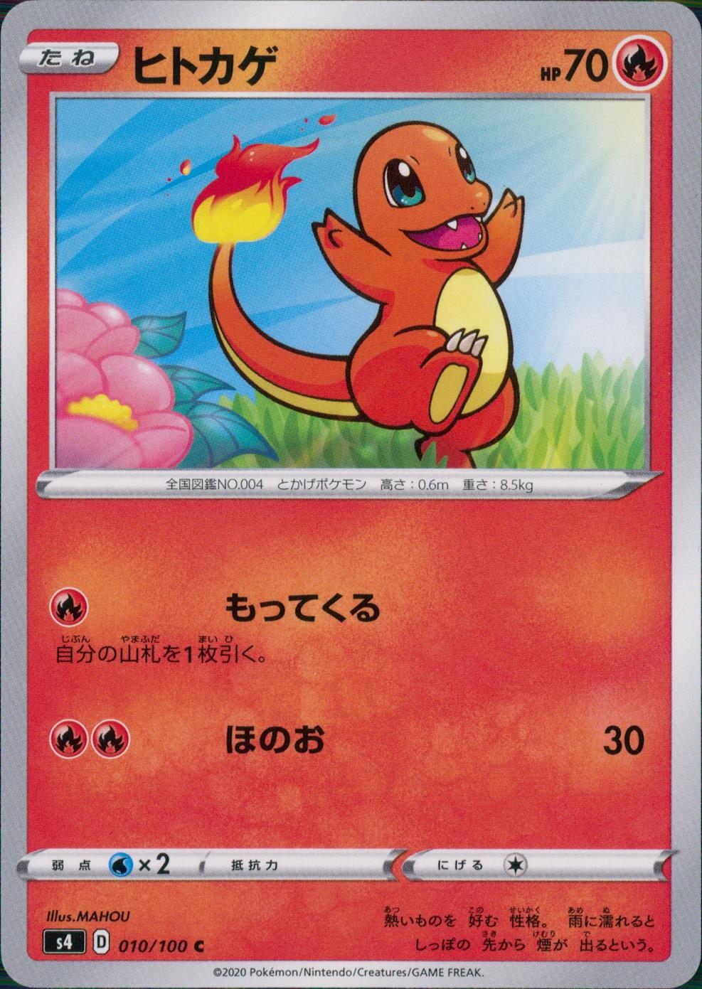 010/100/S4/B/C ヒトカゲ