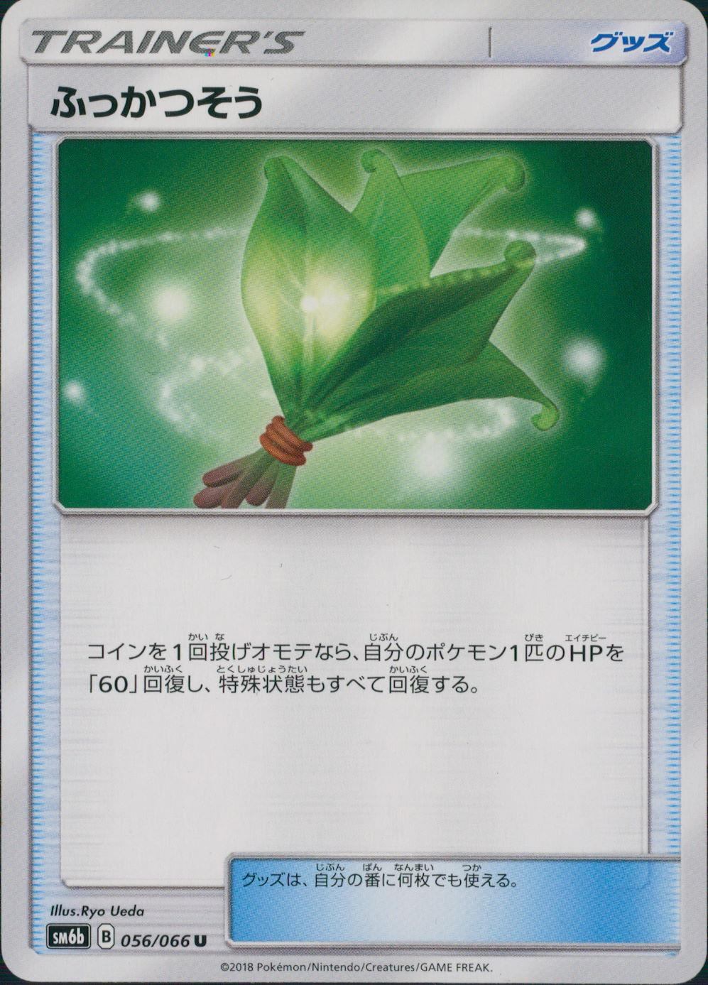 056/066/SM6B/ふっかつそう