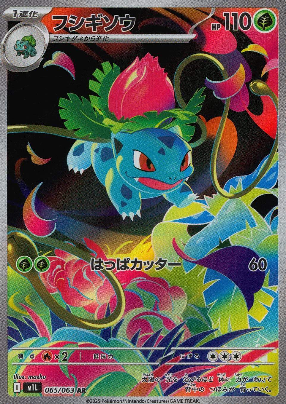 065/063/M1L/B/AR フシギソウ