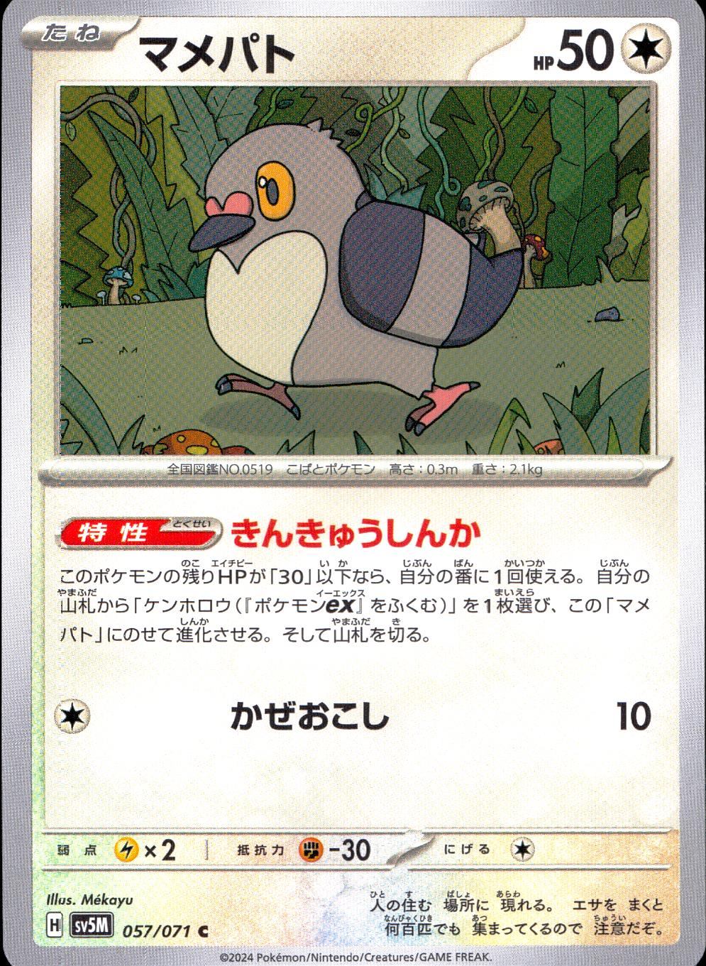 057/071/SV5M/B/C マメパト