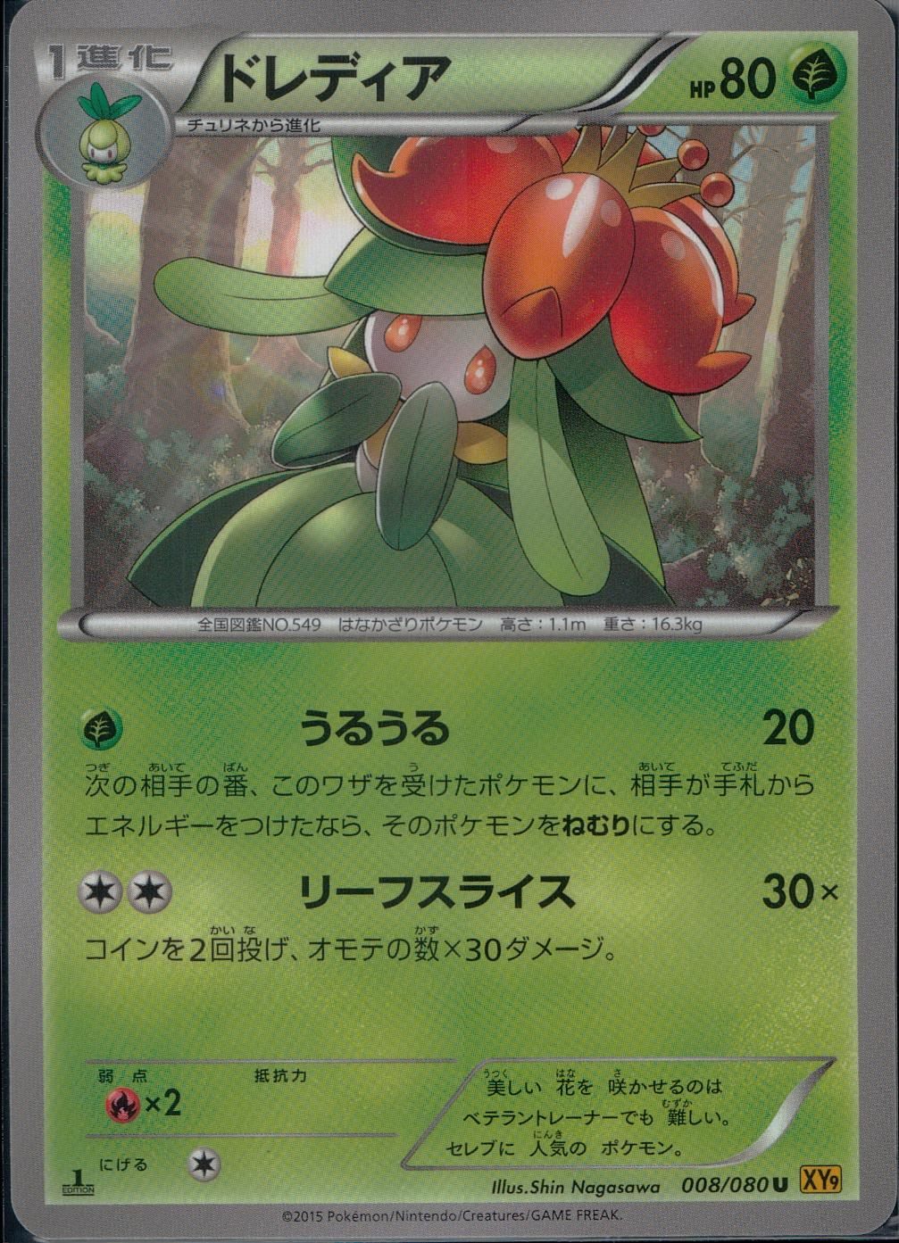 008/080/U/XY9/B ドレディア