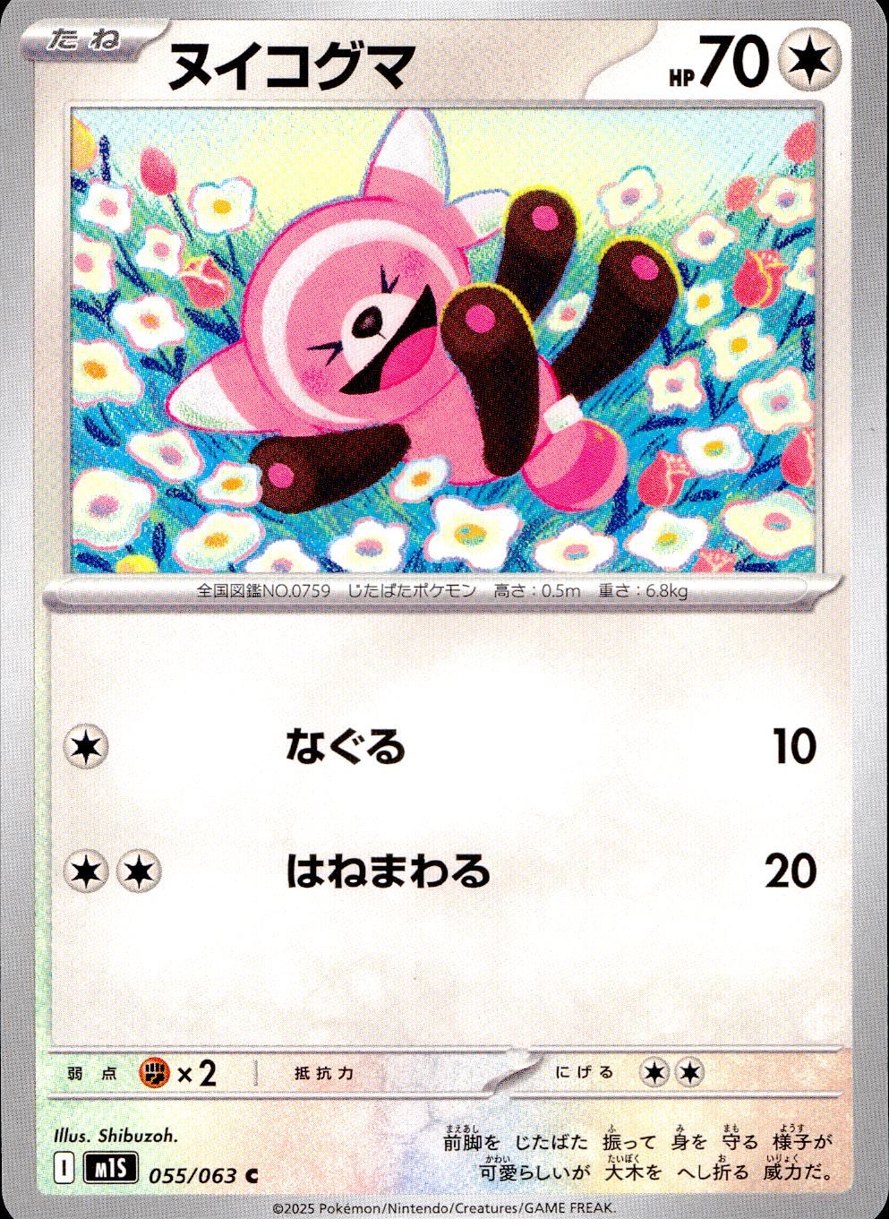 055/063/M1S/B/C ヌイコグマ